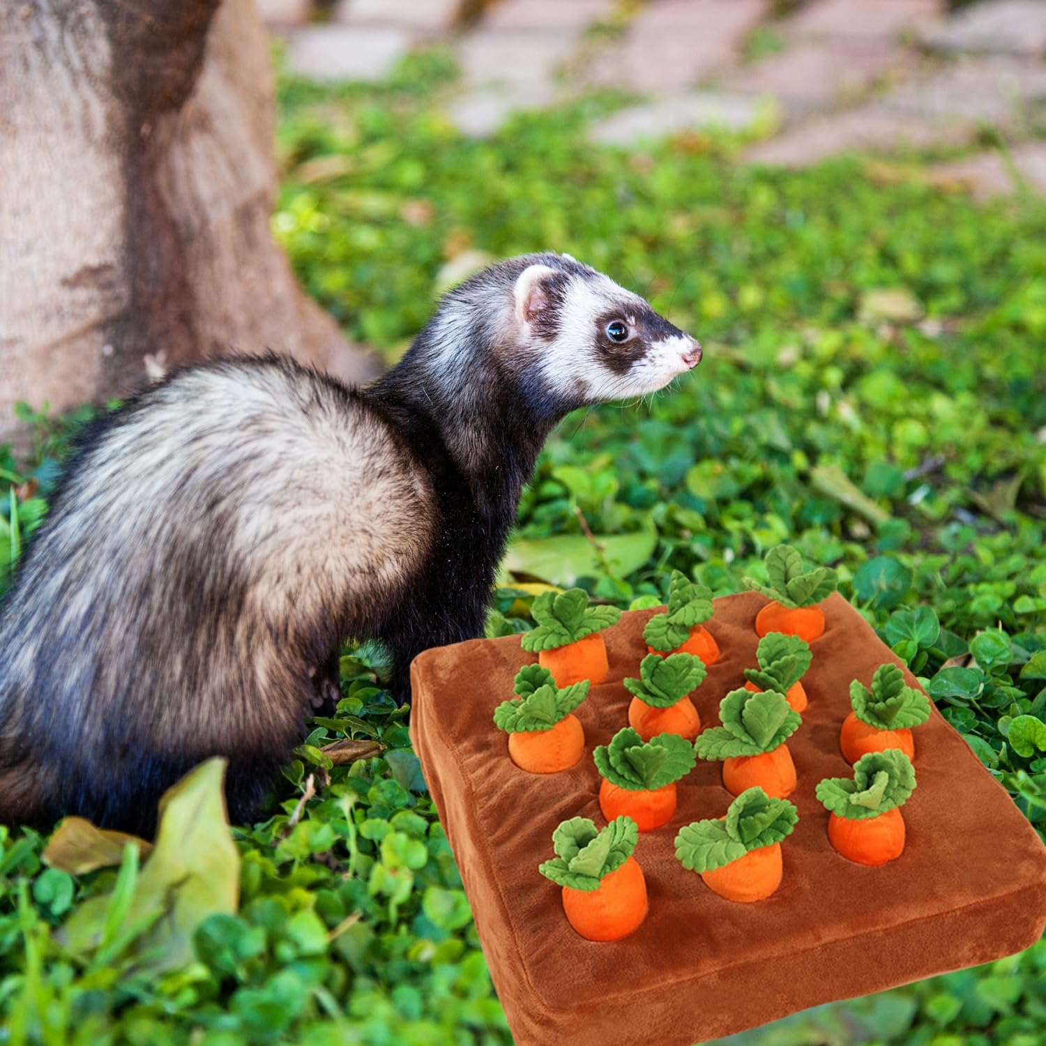 PUMEXFE enrichment-gift-for-pets offers playful learning and bonding.