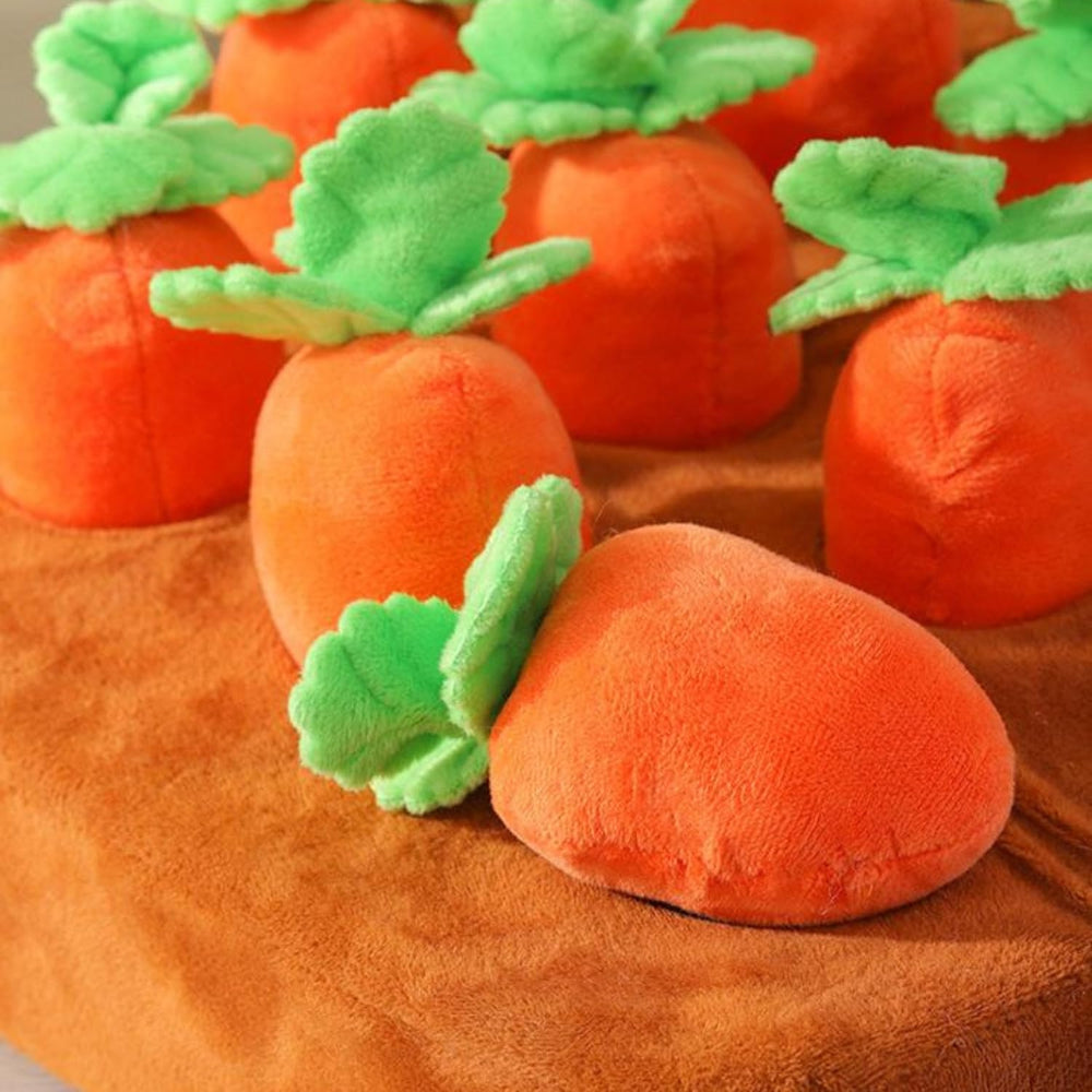 PUMEXFE sponge-mat concealing treats to support sniffing exploration.