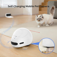 The pumpkii cat camera treat dispenser enables remote feeding for pets.