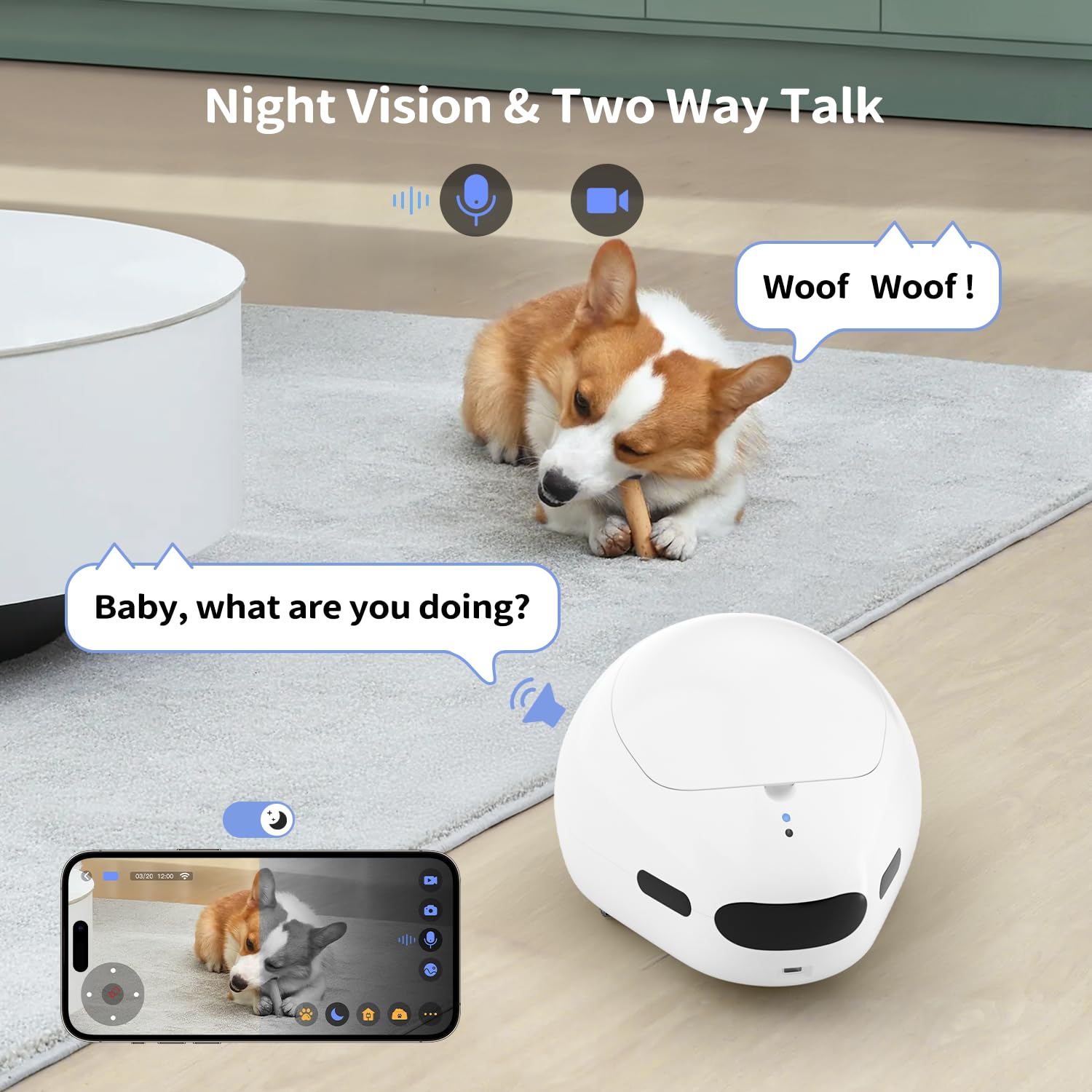 The pumpkii 2.4G Wi-Fi setup helps maintain a stable remote viewing experience.