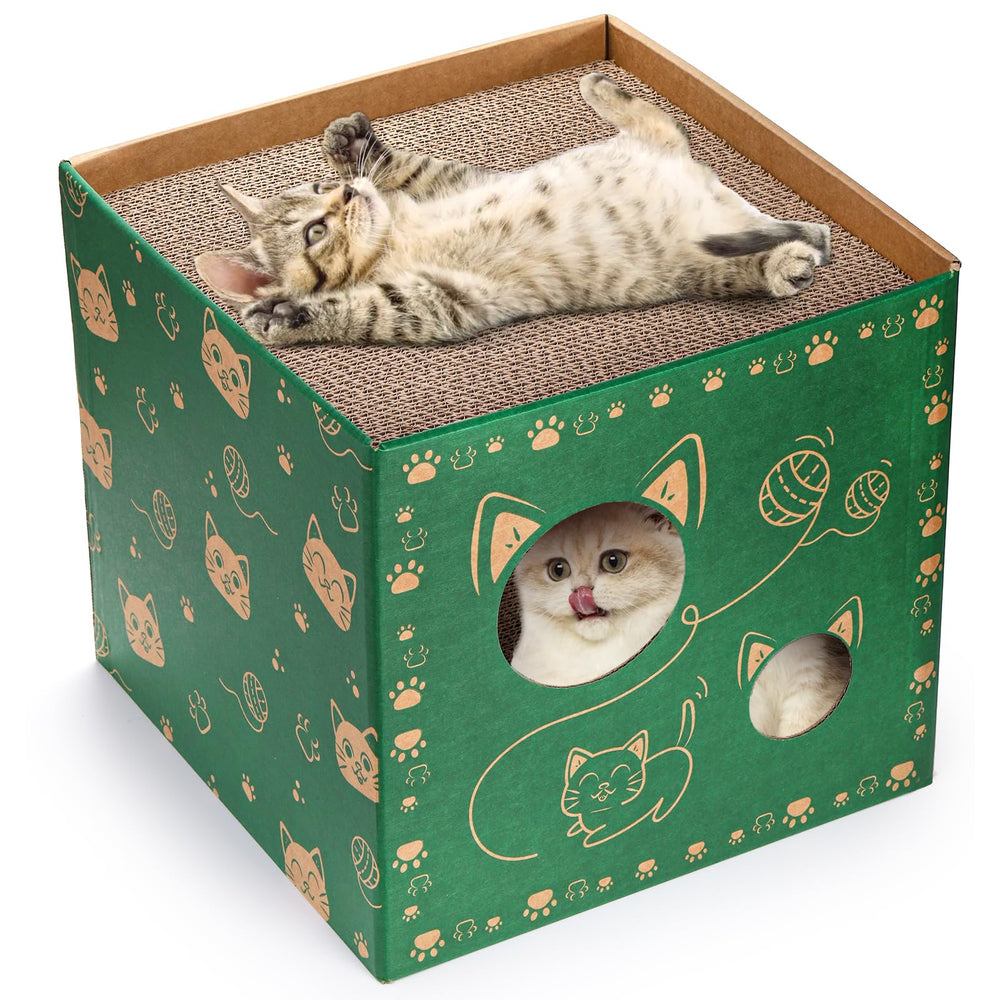 Pumtus scratching pads on top and bottom for paw exercise