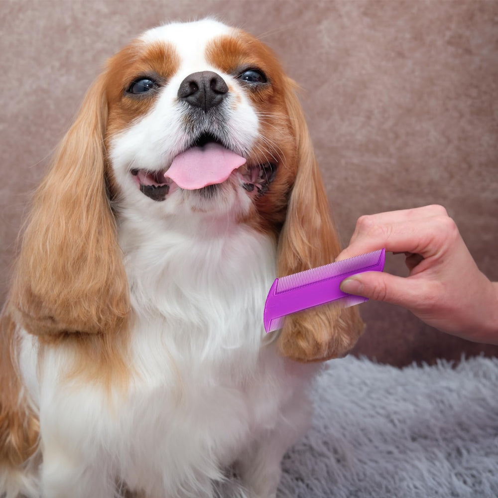 Pumtus small-pet friendly combs suitable for cats, dogs, and rabbits