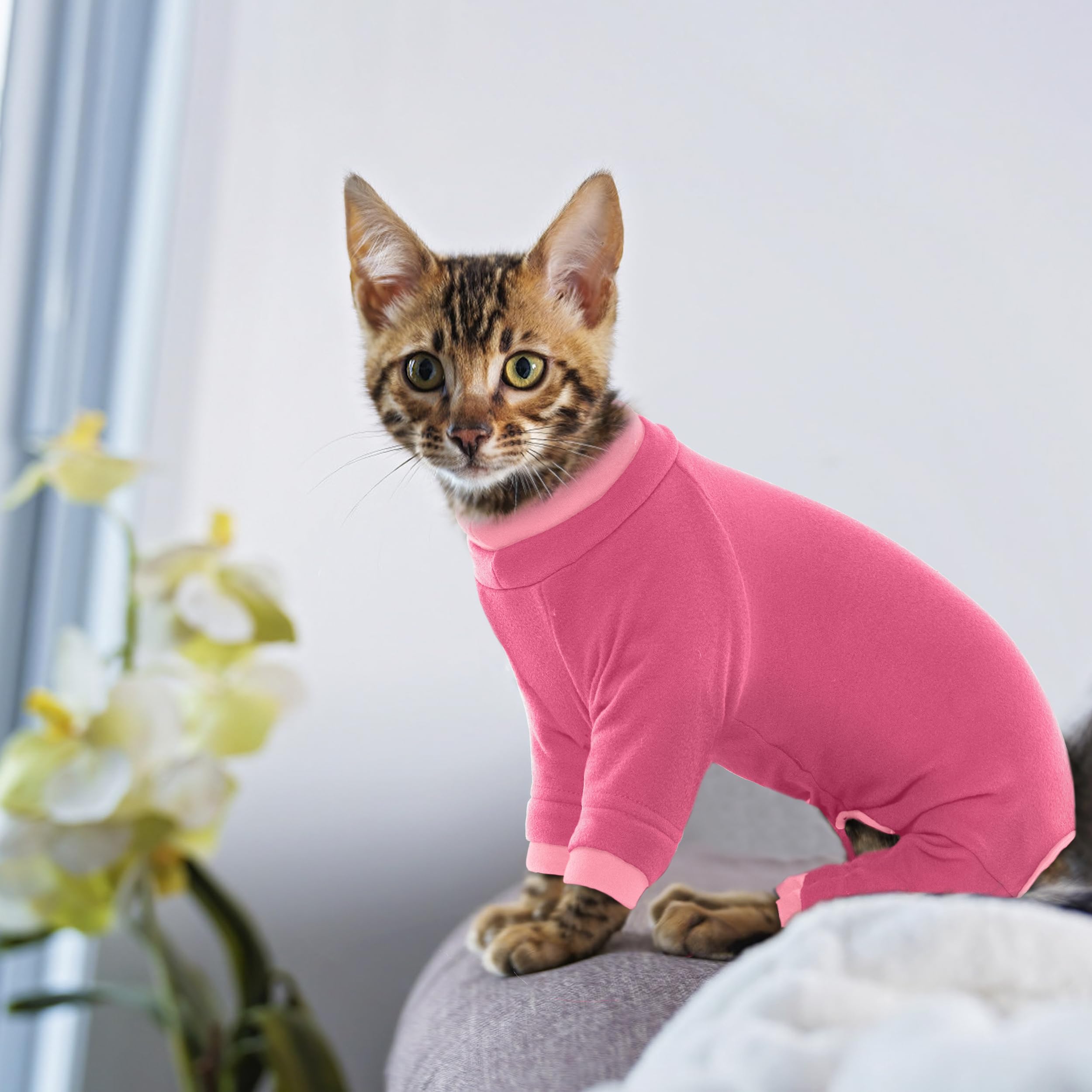 PUMYPOREITY easy-clean machine-washable cat shirt keeps fur contained.