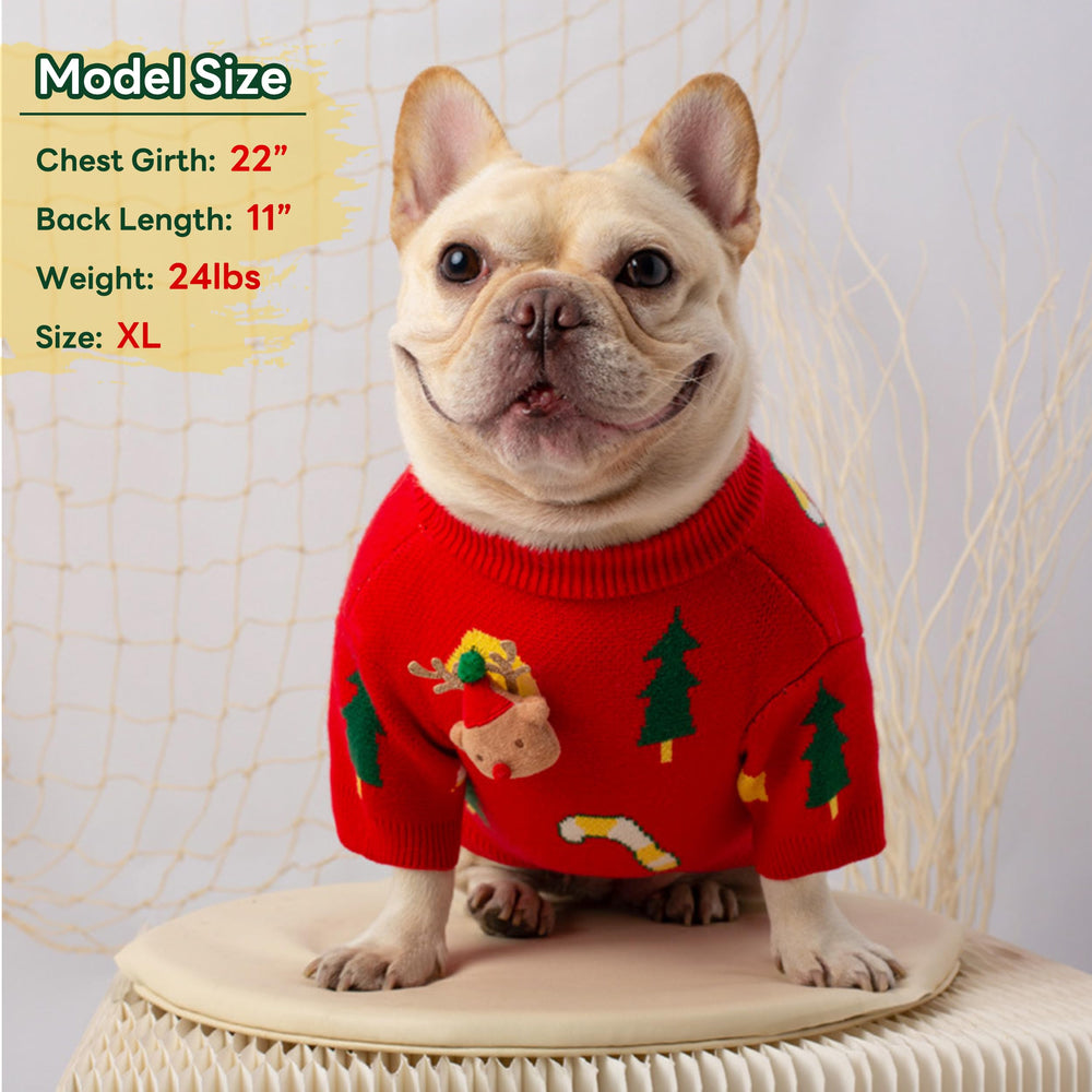 PUMYPOREITY red winter dog sweater worn for cold-weather outings.