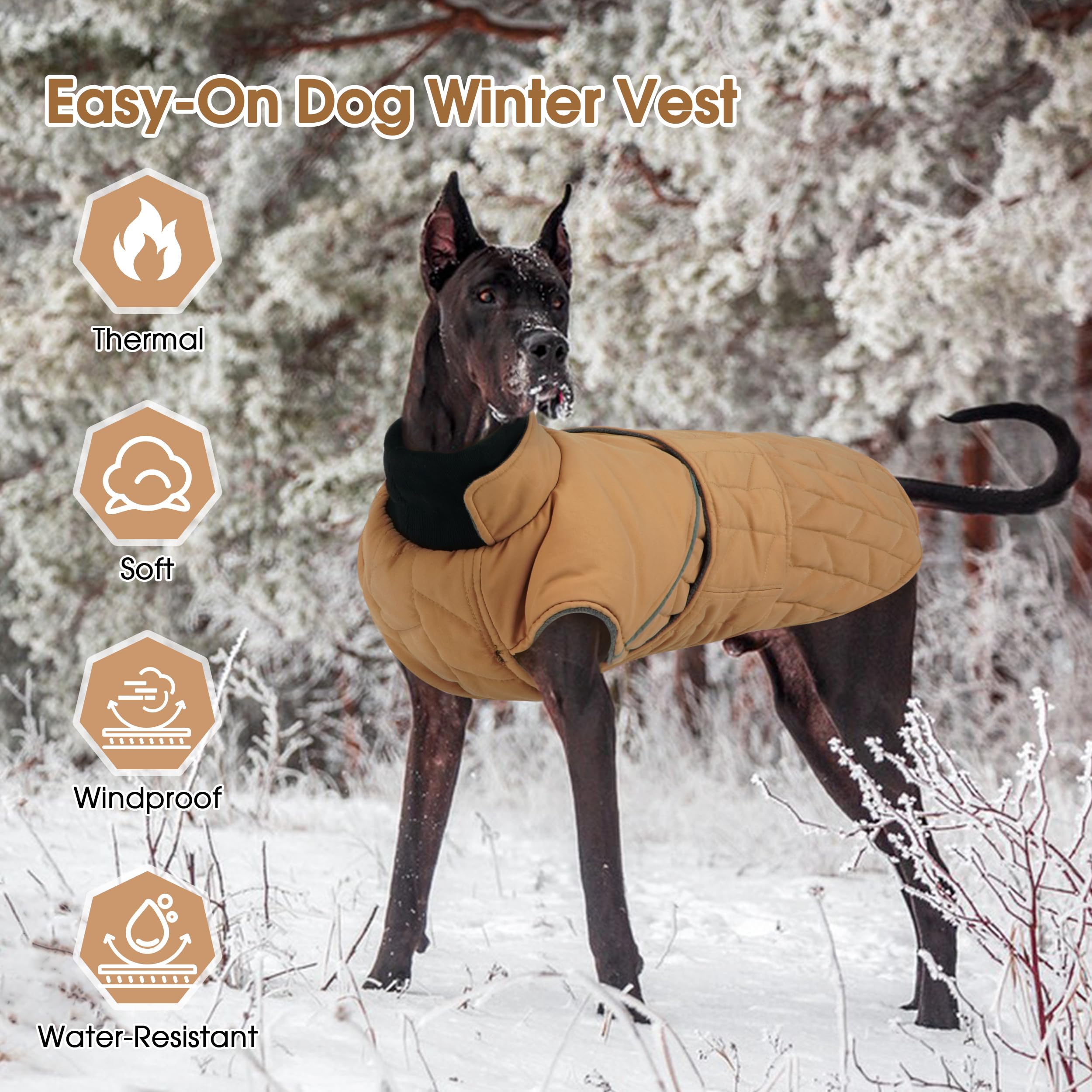 PUMYPOREITY warm dog jacket leash-hole compatibility supports harnessed walking in low-light.