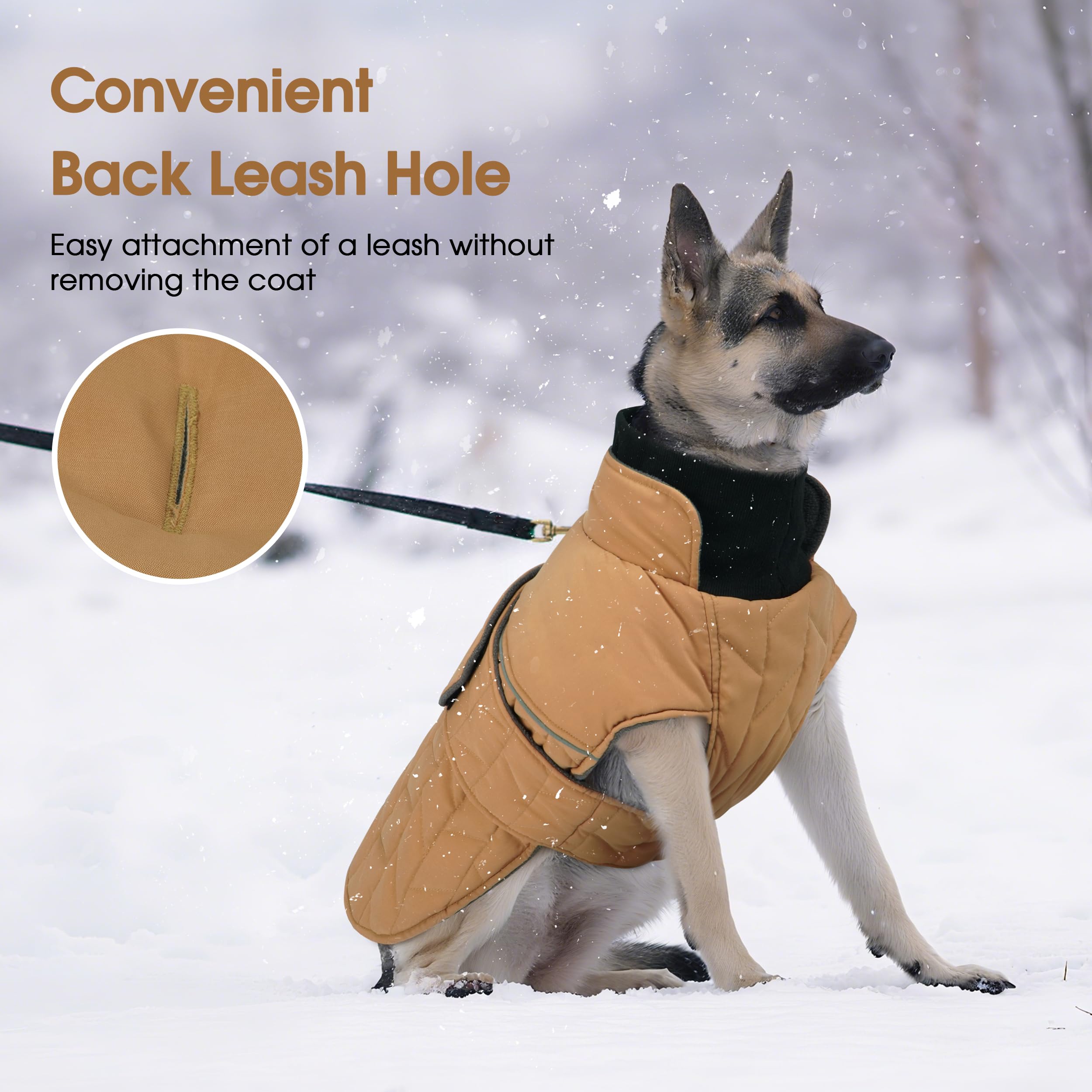 PUMYPOREITY warm dog jacket back view emphasizes reflective strips for safer evening walks.