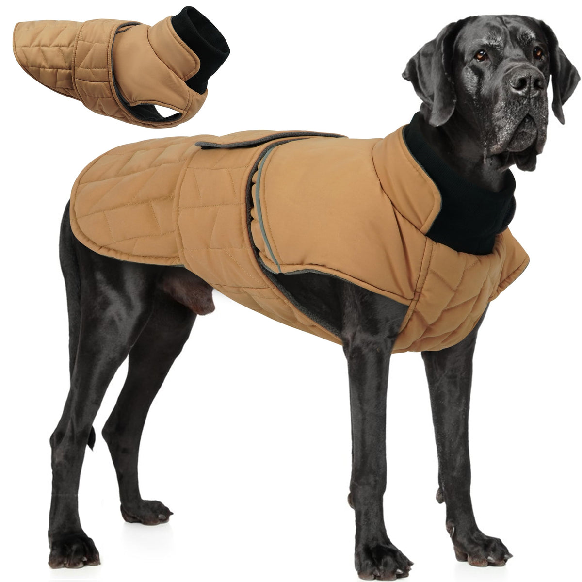 PUMYPOREITY warm dog jacket front view shows light padding for easy, unrestricted movement.