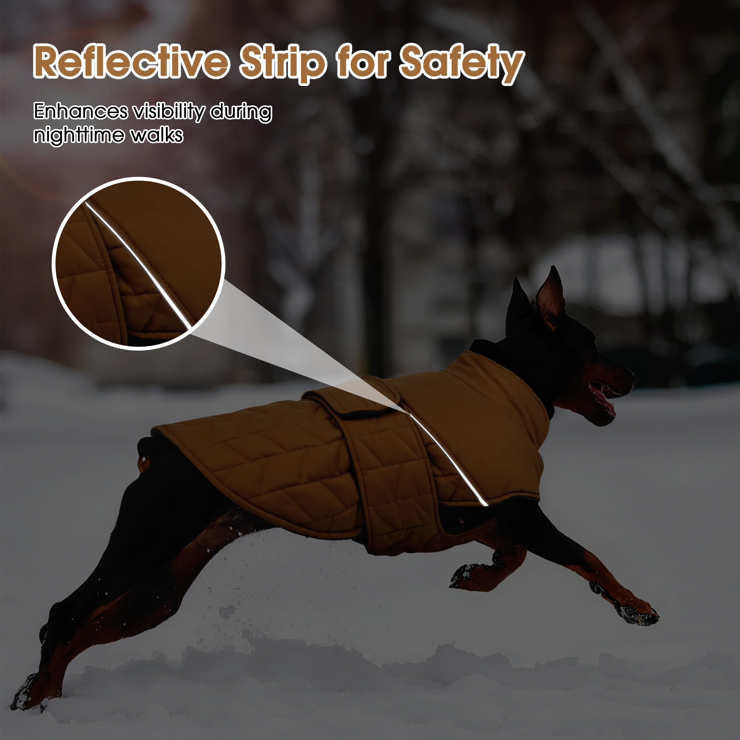 PUMYPOREITY warm dog jacket outer fabric provides water-repellent protection during light rain.