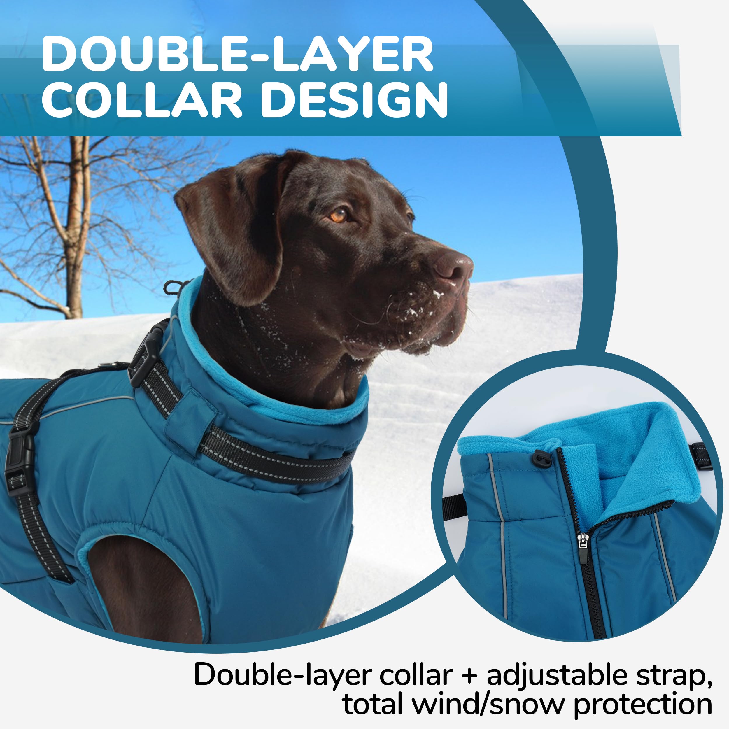 PUMYPOREITY built-in harness with D-rings simplifies leash attachment on outdoor adventures.