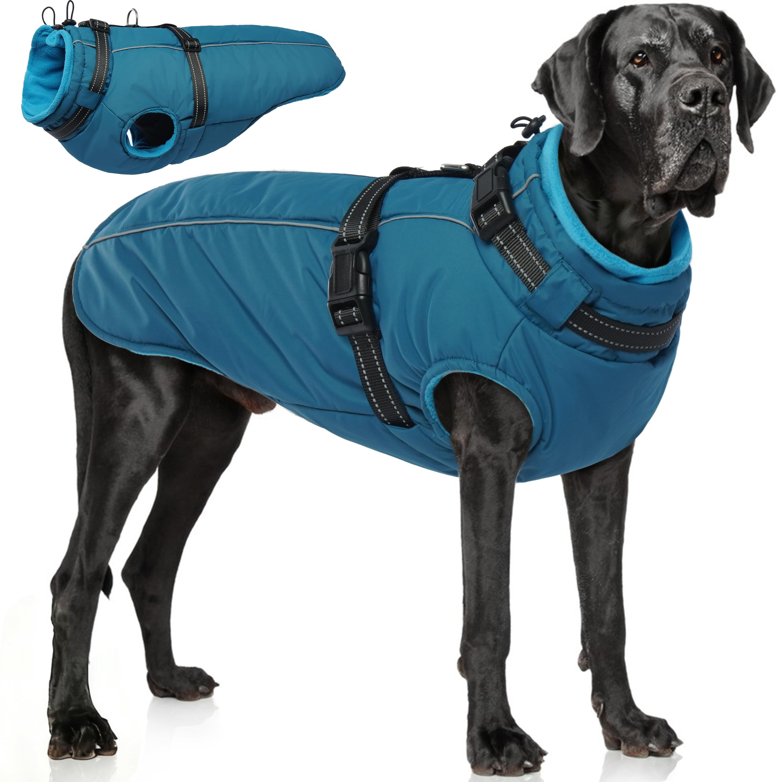 PUMYPOREITY dog jacket with built-in harness blue XL on a large dog for safe outdoor walks.