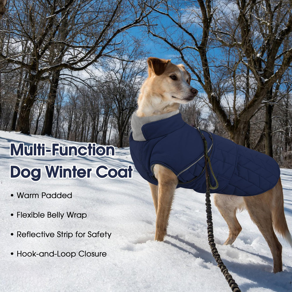 Pumyoreity leash-hole-for-harness enables hassle-free outdoor walking.