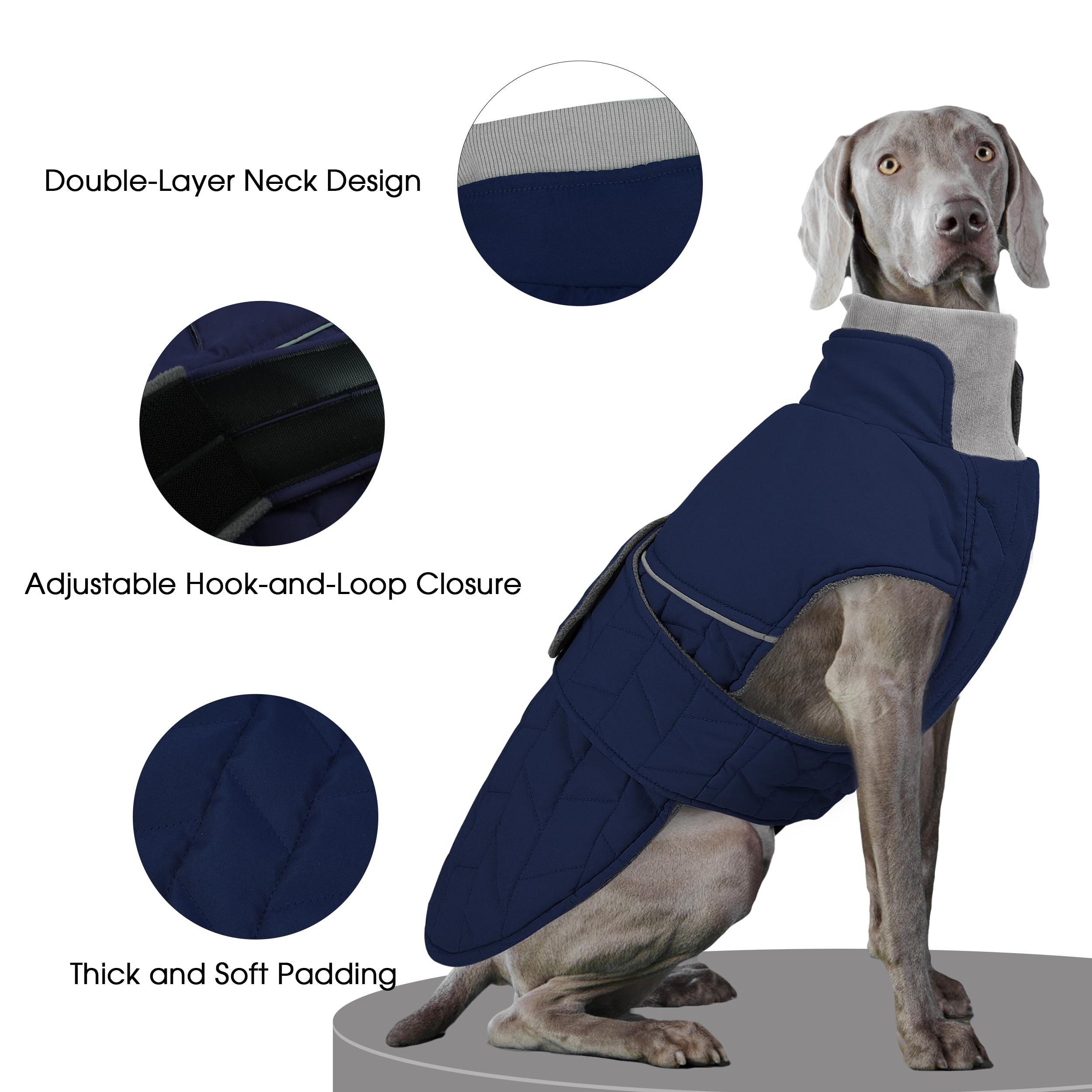 Pumyoreity seven-sizes-xs-to-3xl ensures a secure fit for most breeds.