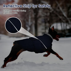 Pumyoreity water-repellent-outer-fabric helps keep pets dry in light rain.