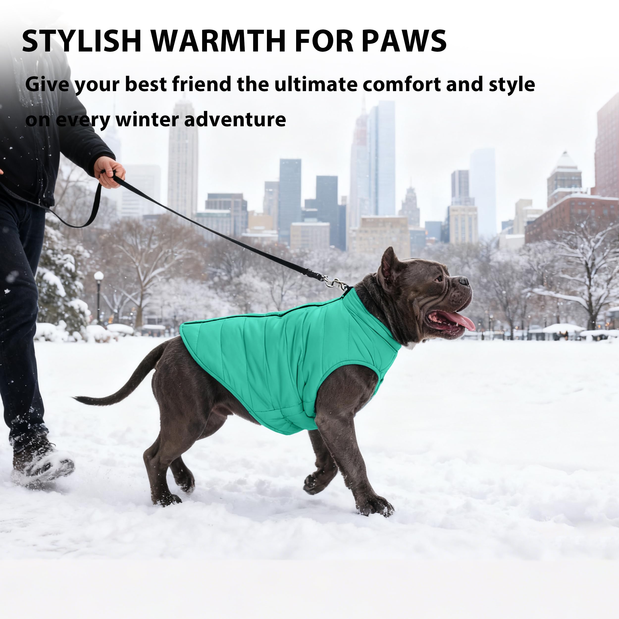 PUMYPOREITY seven size options XS to 3XL for dogs