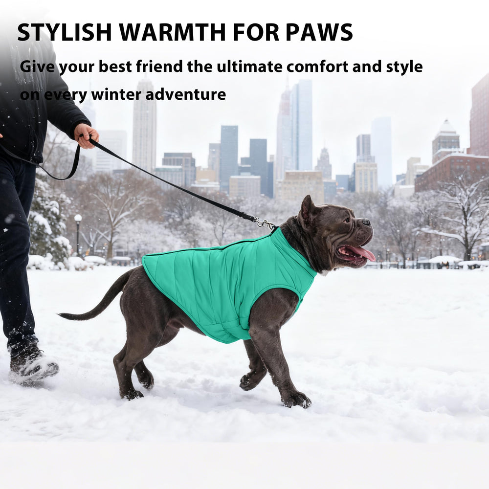 PUMYPOREITY seven size options XS to 3XL for dogs