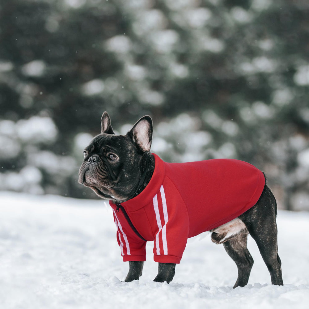 PUMYPOREITY Bulldog Hoodie red machine-washable — simple care for busy pet parents.