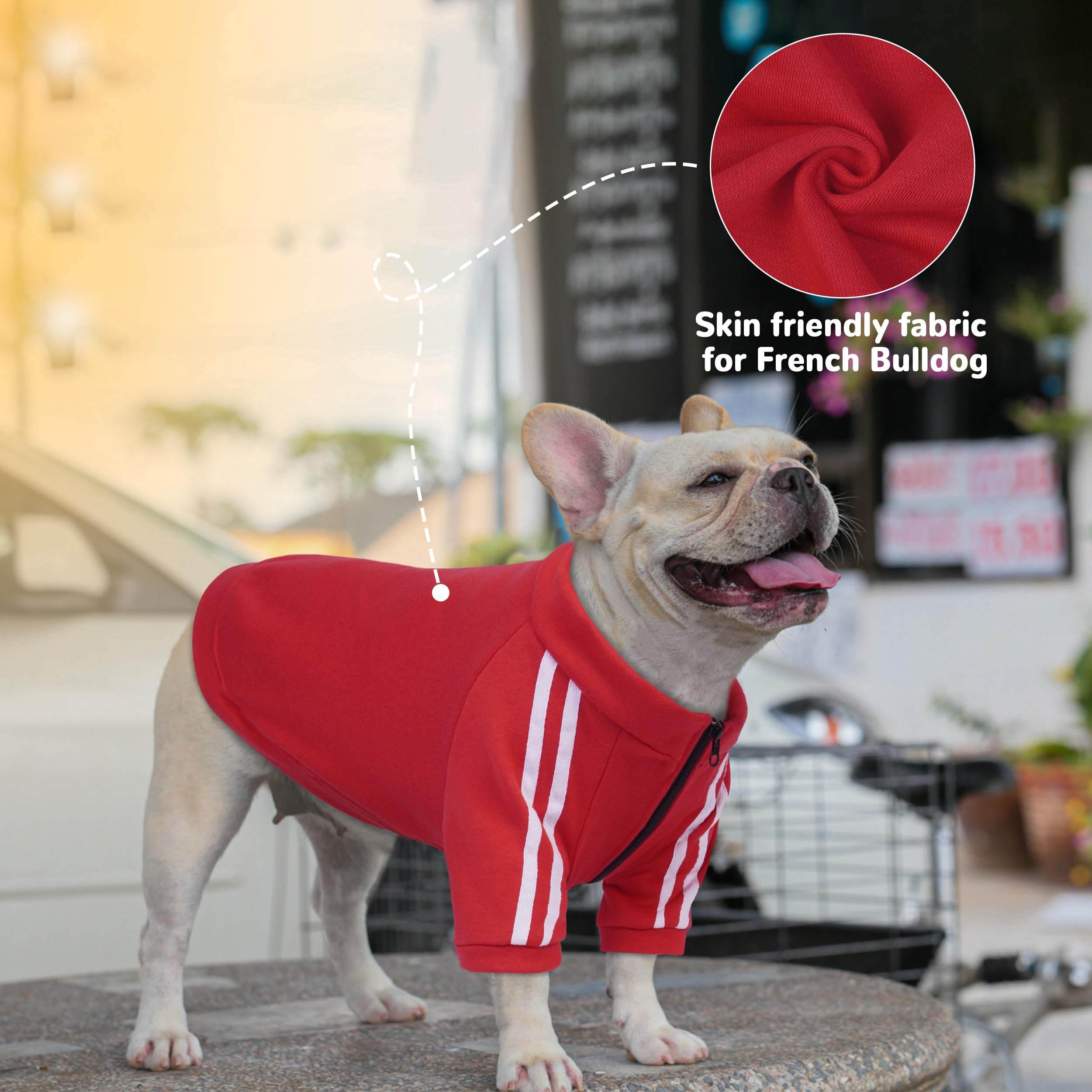 PUMYPOREITY Bulldog Hoodie red neck zipper — easy wear for thick-neck bulldogs.
