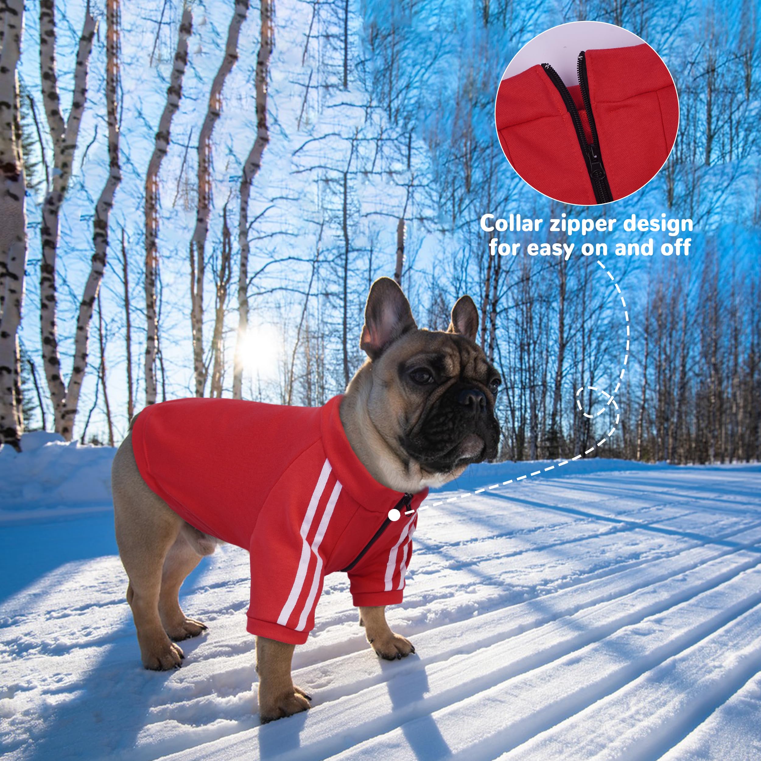 PUMYPOREITY Bulldog Hoodie red side view — stylish, sporty look for walks.
