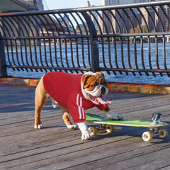 PUMYPOREITY Bulldog Hoodie red soft fabric — breathable comfort for spring and fall.