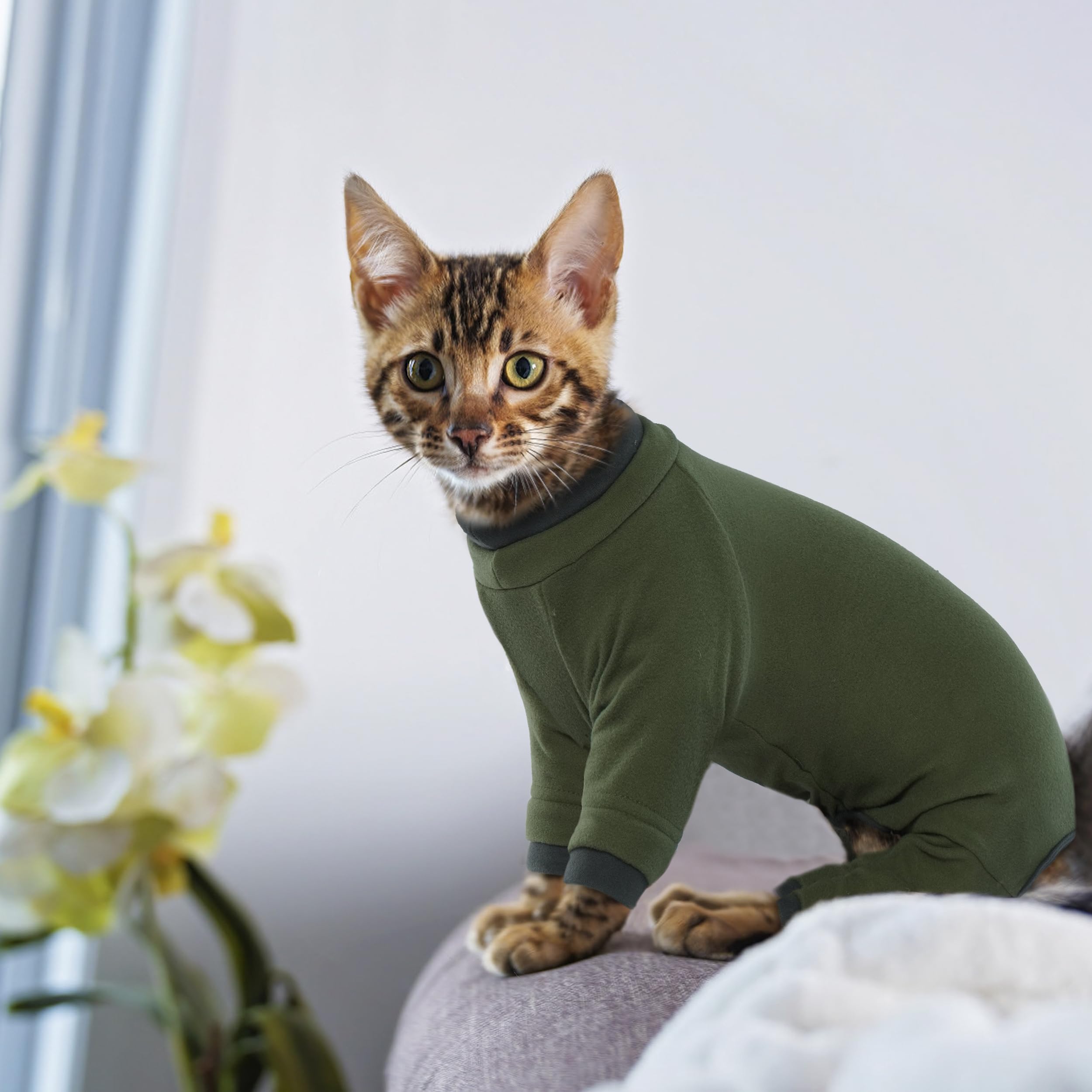 PUMYPOREITY machine-washable cat outfit convenient for daily use and care