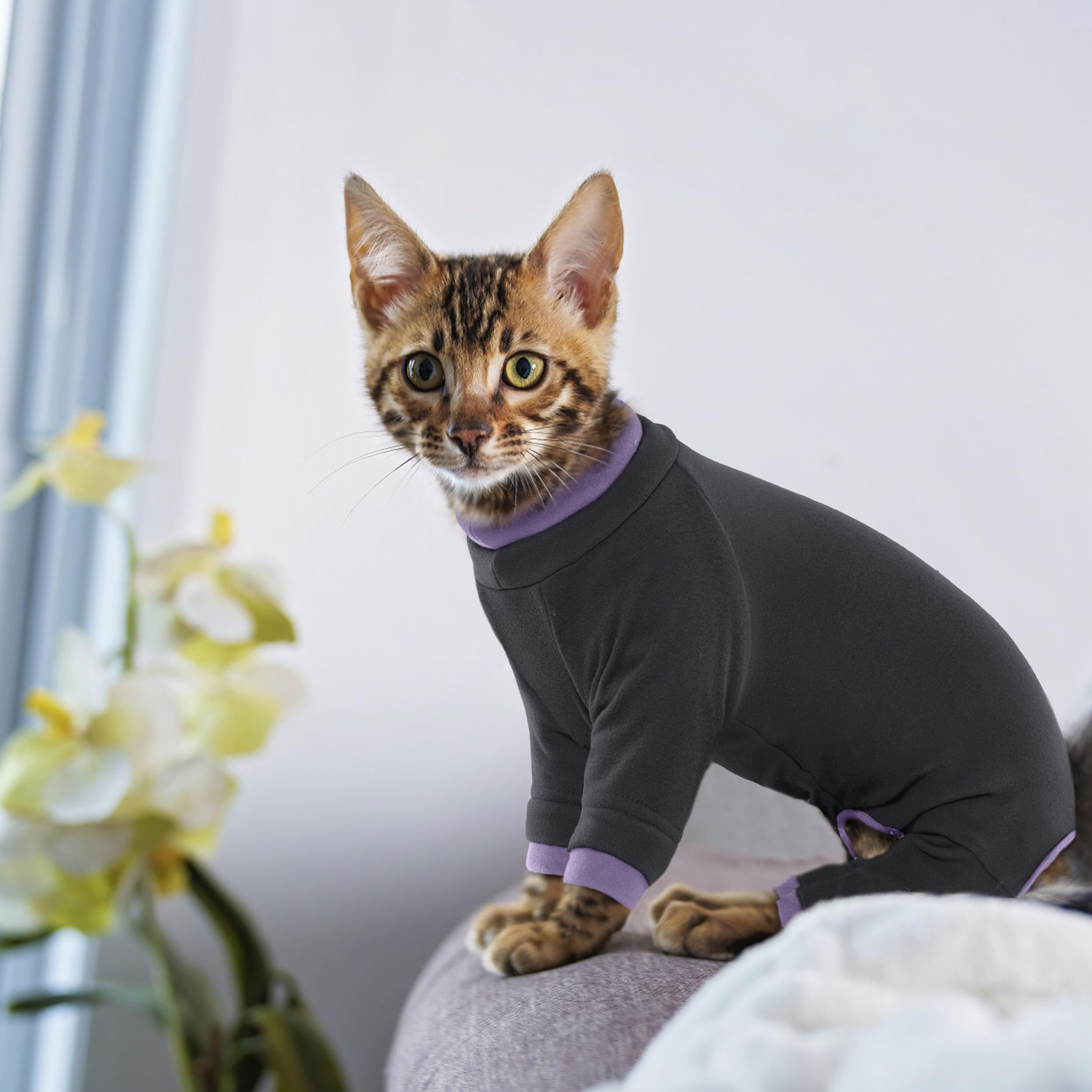 PUMYPOREITY machine-washable cat sweater designed for everyday wear.
