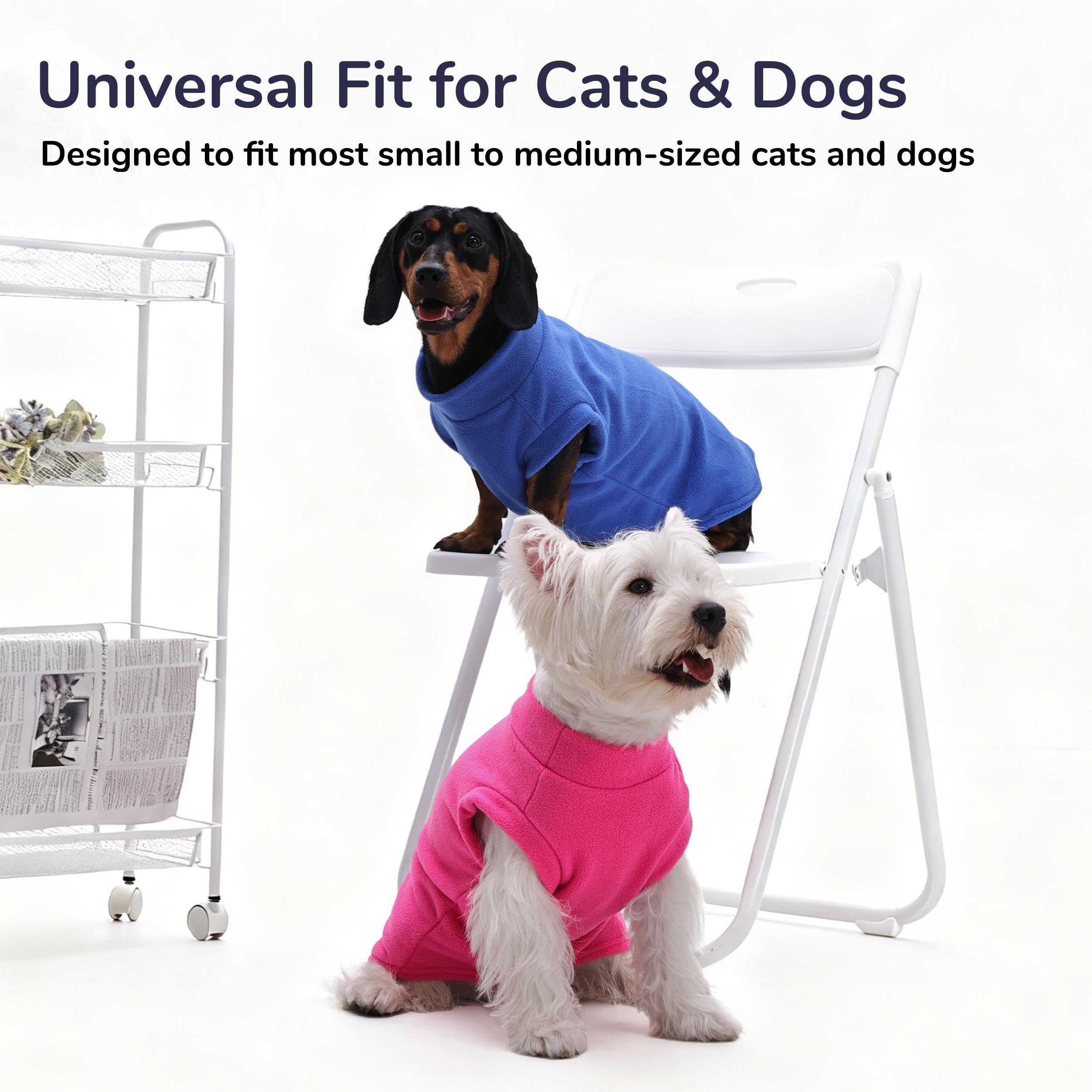 PUMYPOREITY stay-warm pet sweater suitable for cold weather outings.
