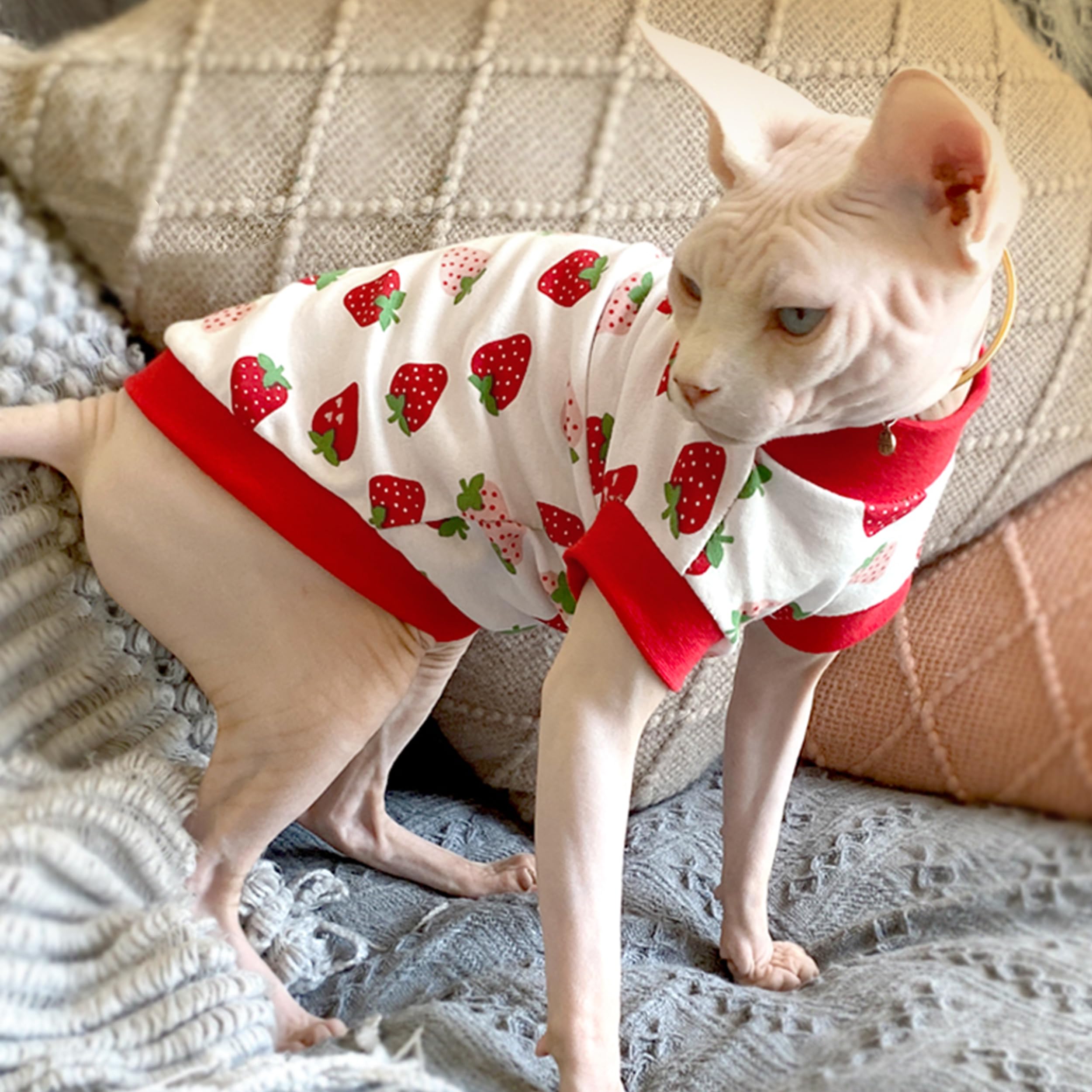 PUMYPOREITY sun-protection-sphynx-shirt guards sensitive skin from sun exposure