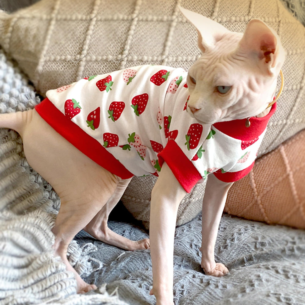 PUMYPOREITY sun-protection-sphynx-shirt guards sensitive skin from sun exposure