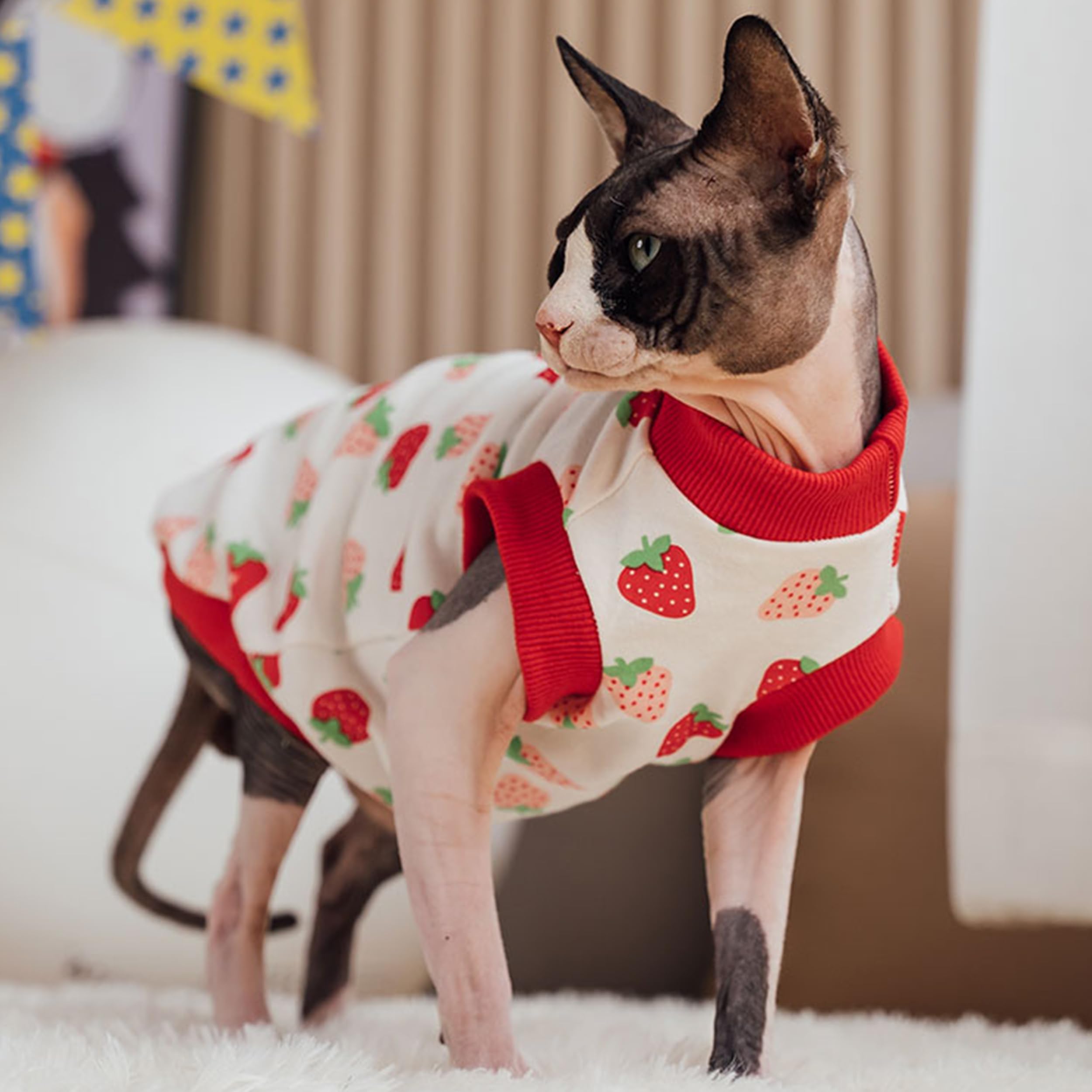 PUMYPOREITY turtleneck-sphynx keeps warmth and coverage for variable indoor temps