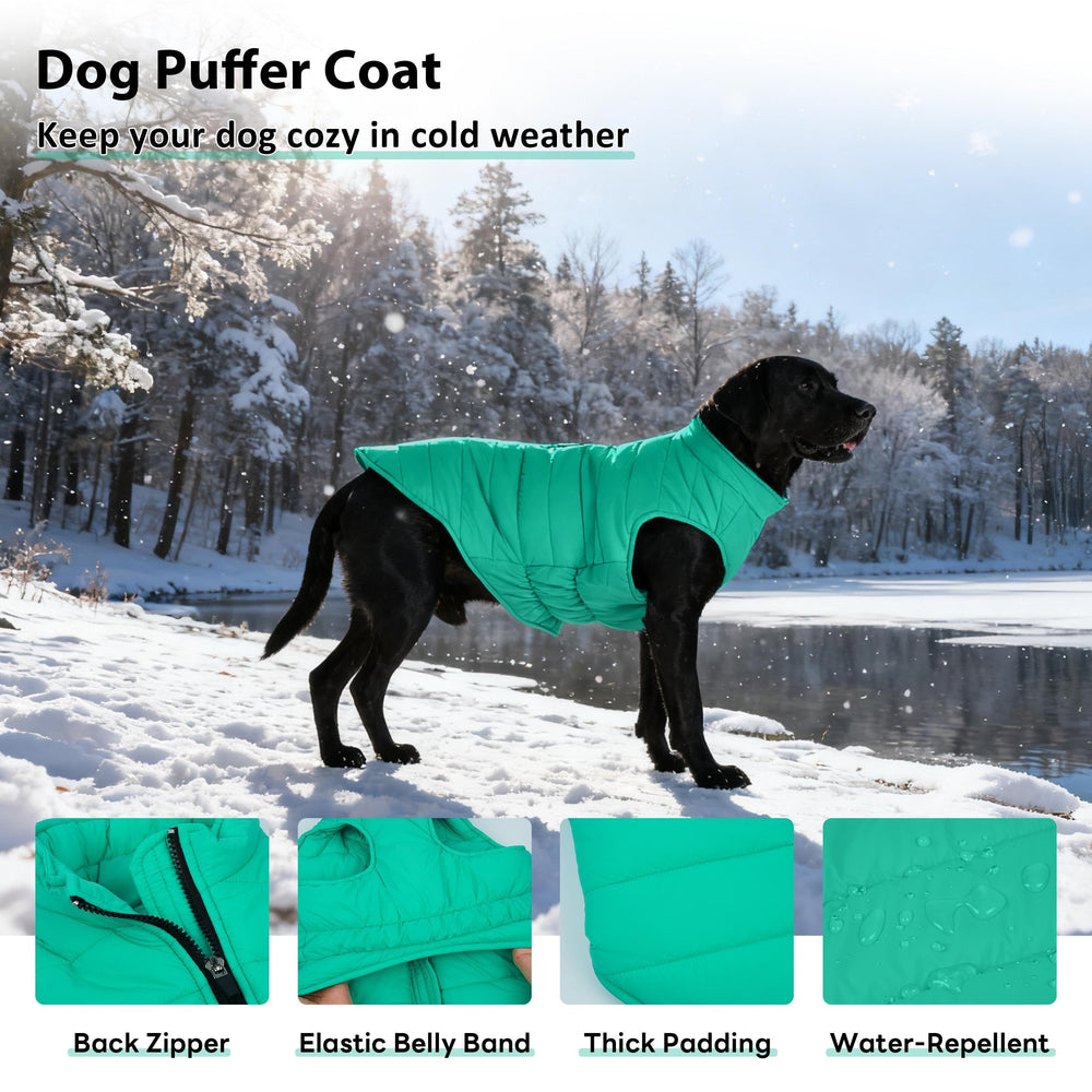 PUMYPOREITY warm padded dog vest ready for chilly walks