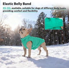 PUMYPOREITY water-repellent outer layer keeps dog dry in light rain