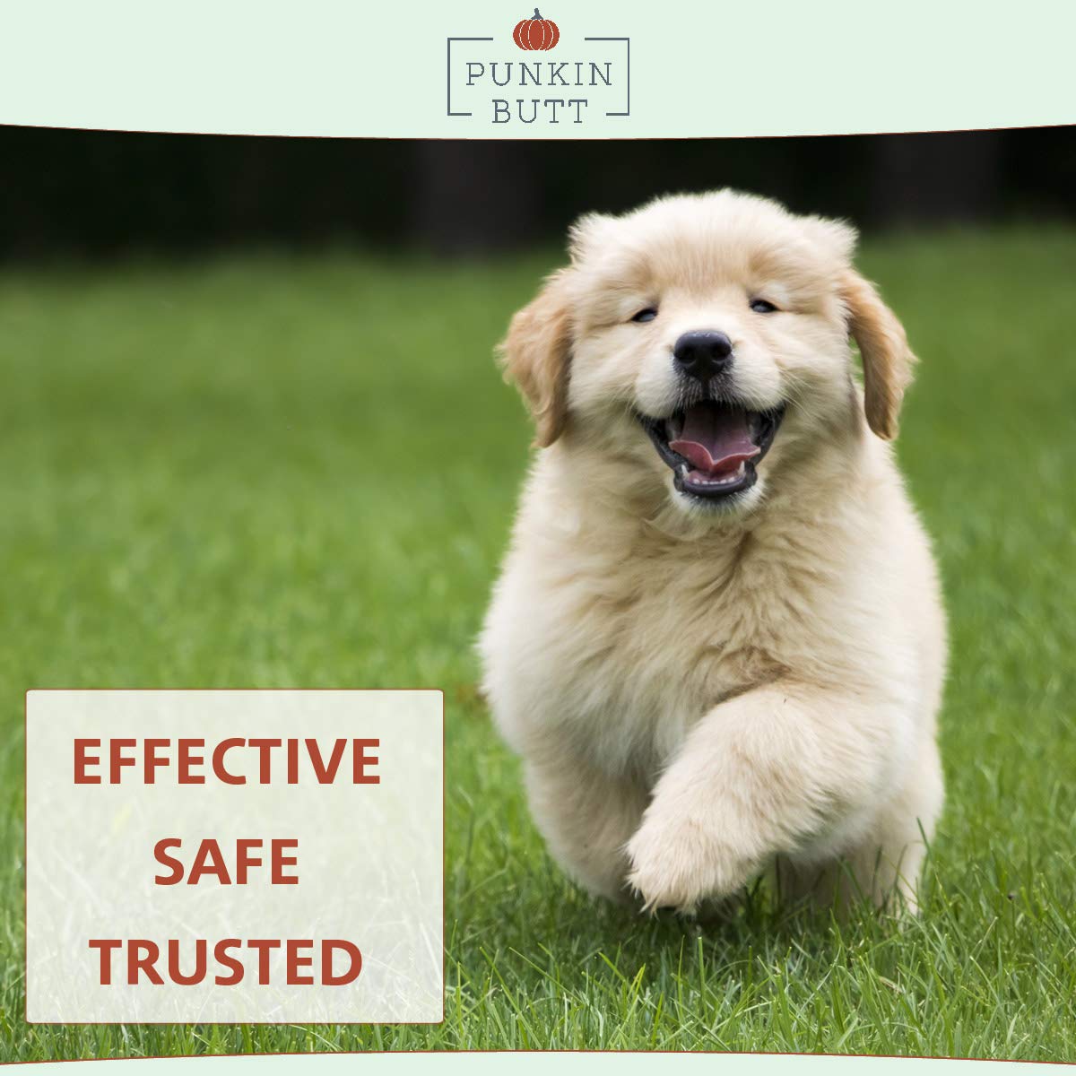 Punkin Butt teething oil ingredients highlight organic herbs infused in sunflower oil.