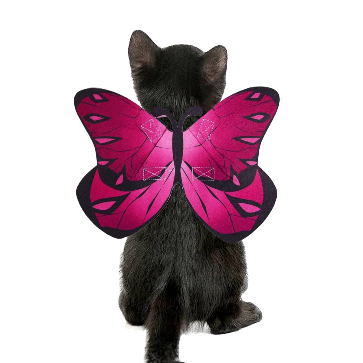Puoyis cat dog butterfly wings for Halloween costume, adds festive charm.