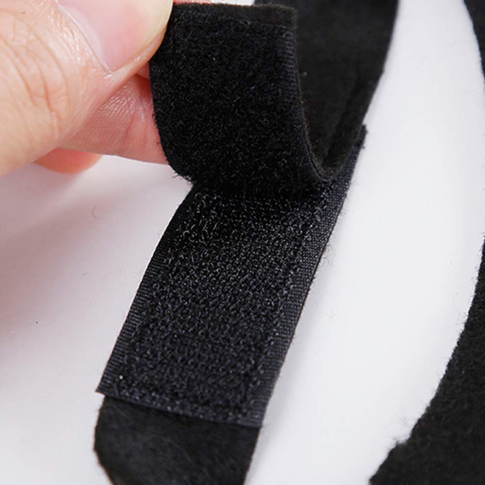 Puoyis pet party decor bat wings boost festive atmosphere in photos.