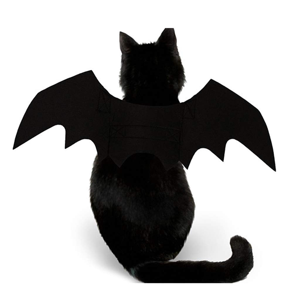 Puoyis puppy-cat bat wings closeup in black felt showing durable material.