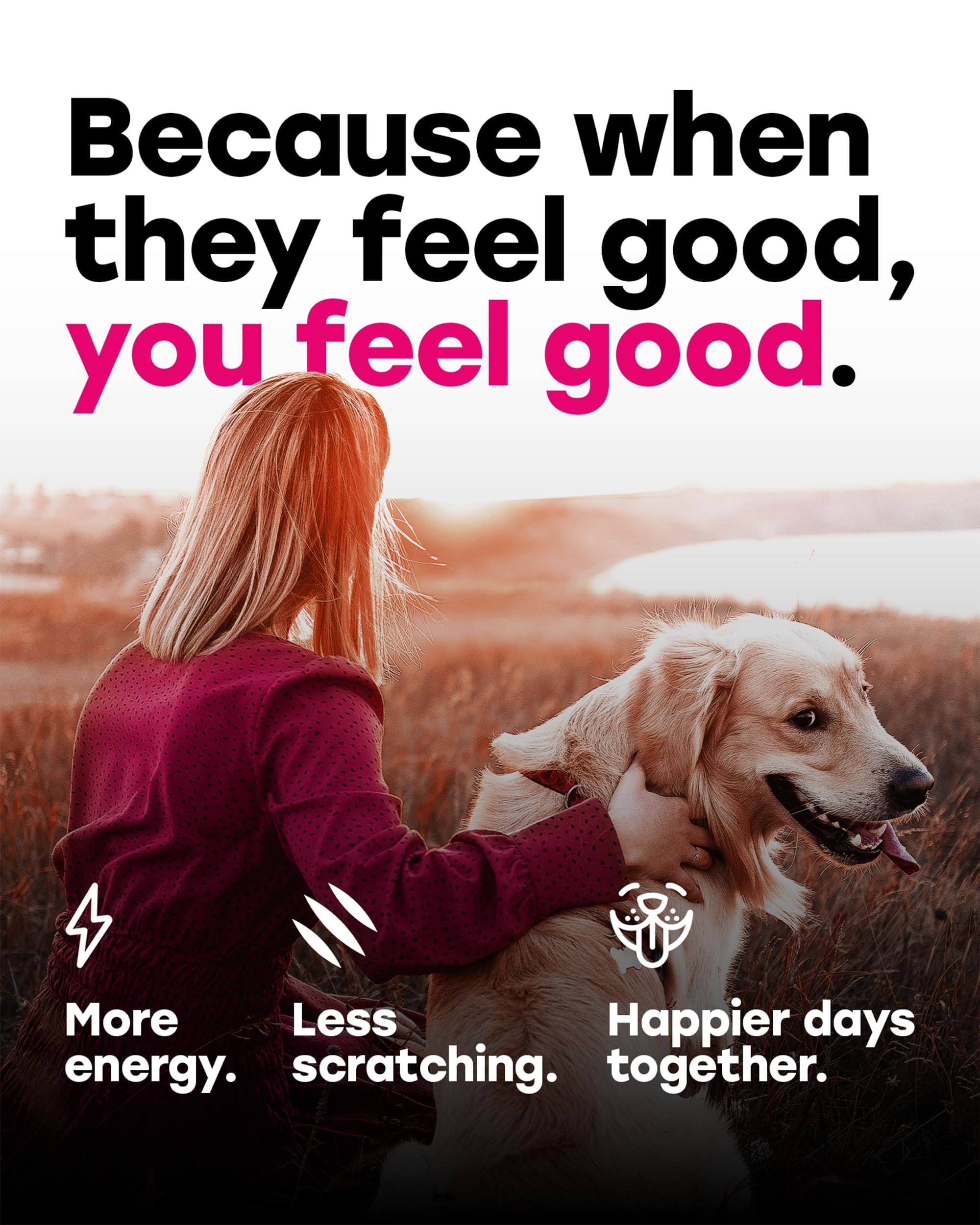 Pup Choice 24-in-1 omega-3 graphic illustrating skin and coat benefits