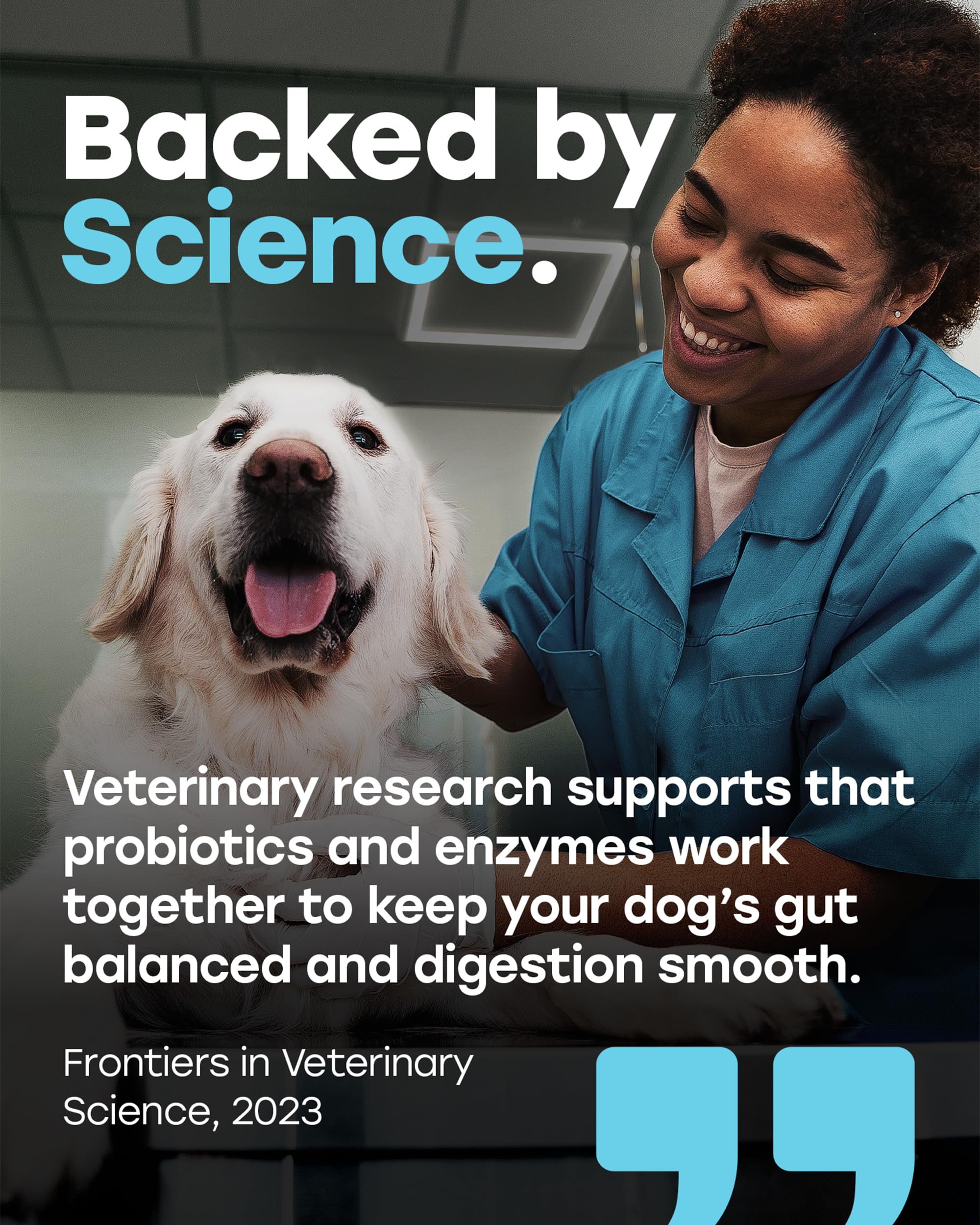 Pup Choice hyaluronic-acid-skin-comfort highlights skin-nourishing benefits for dogs.