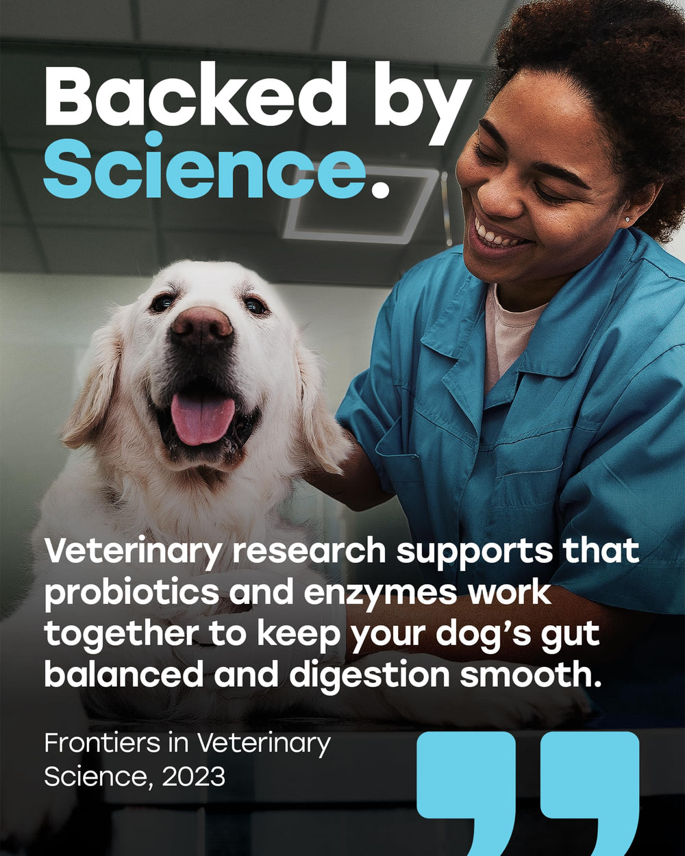 Pup Choice hyaluronic-acid-skin-comfort highlights skin-nourishing benefits for dogs.