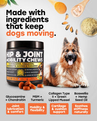 Pup Choice large-breed joint care formulation image emphasizes targeted hip and joint support.