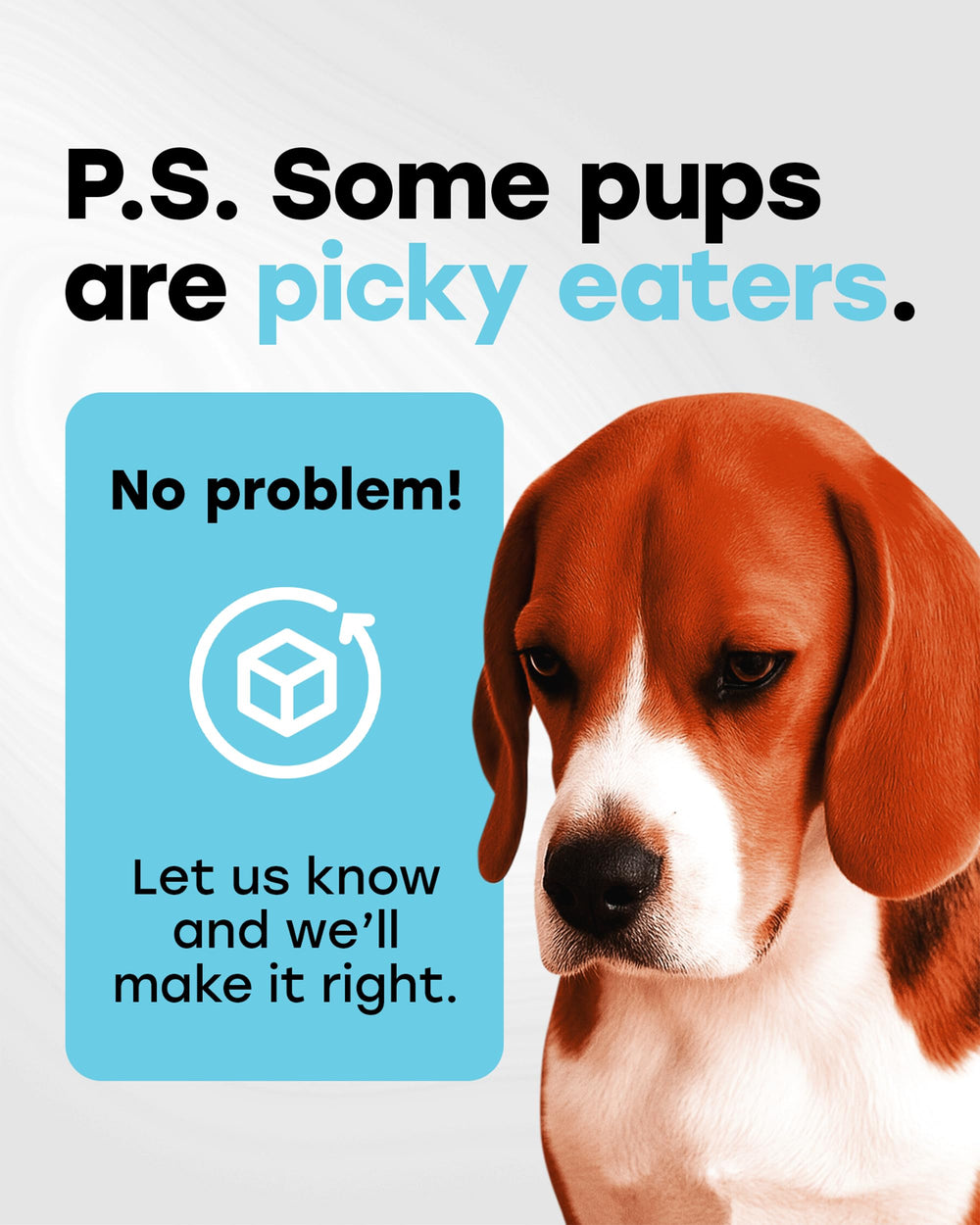Pup Choice made-in-usa-packaging communicates quality manufacturing.