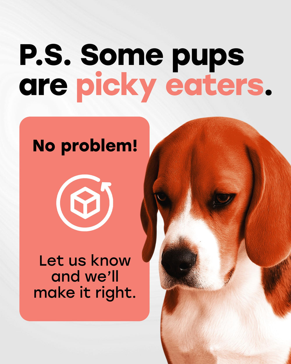 Pup Choice made-in-usa badge underscoring quality production.