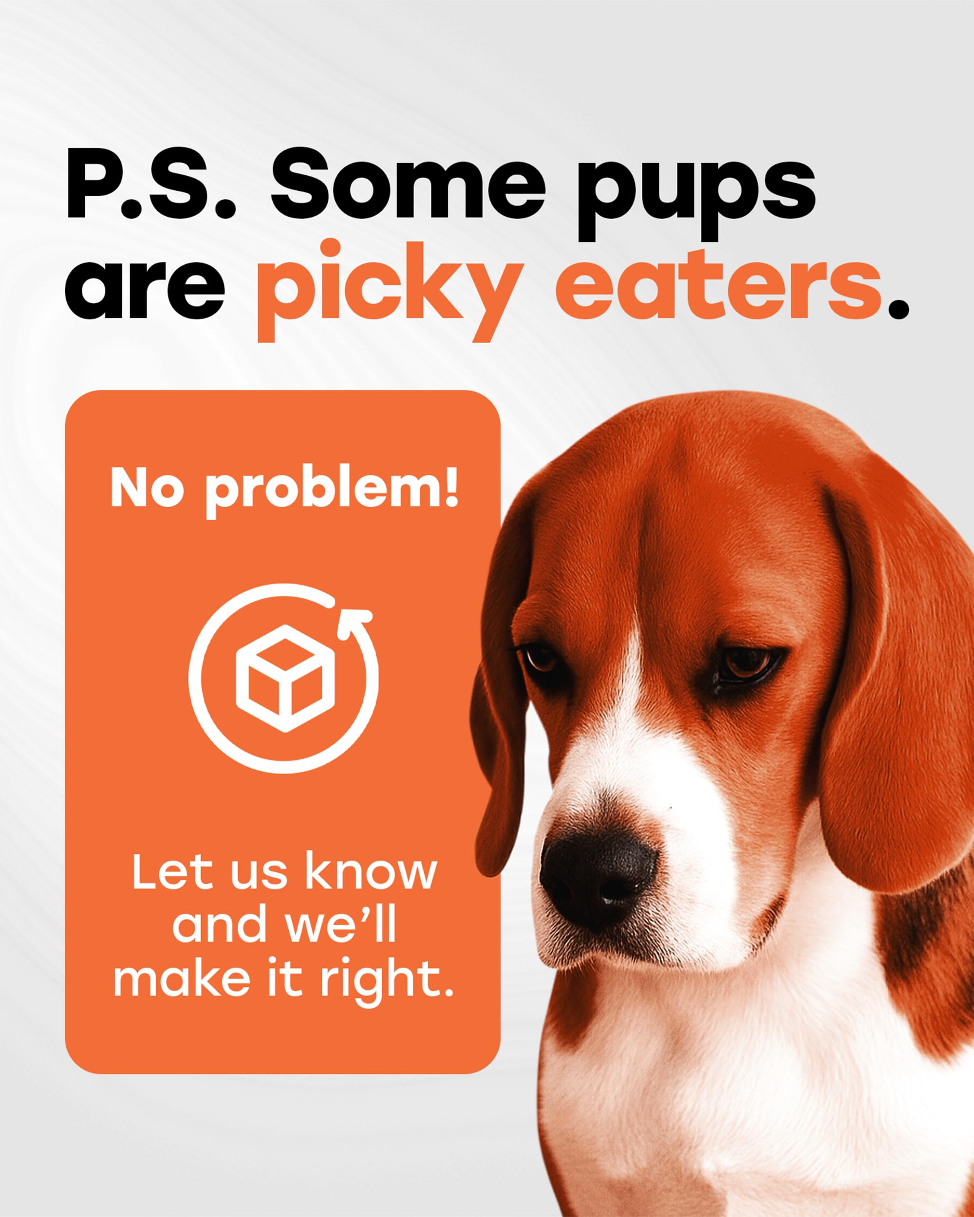 Pup Choice outdoor dog play scene with chews suggests ongoing activity and flexibility.