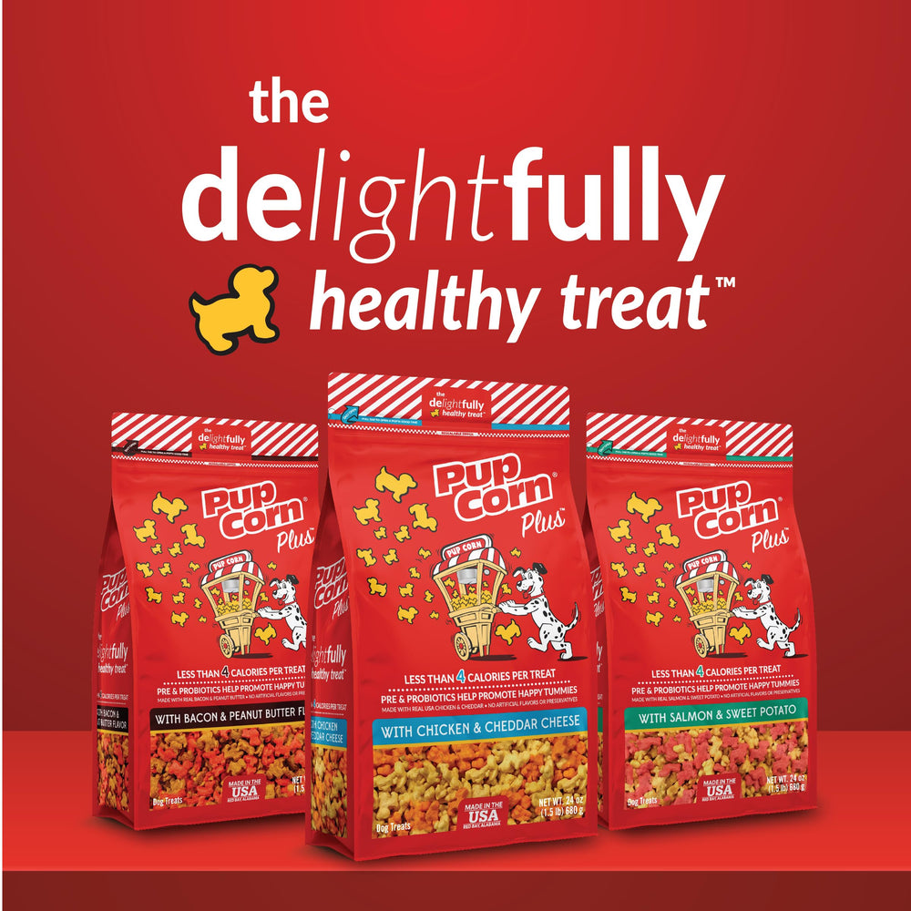 Pup Corn Plus snack for cozy movie-night bonding.