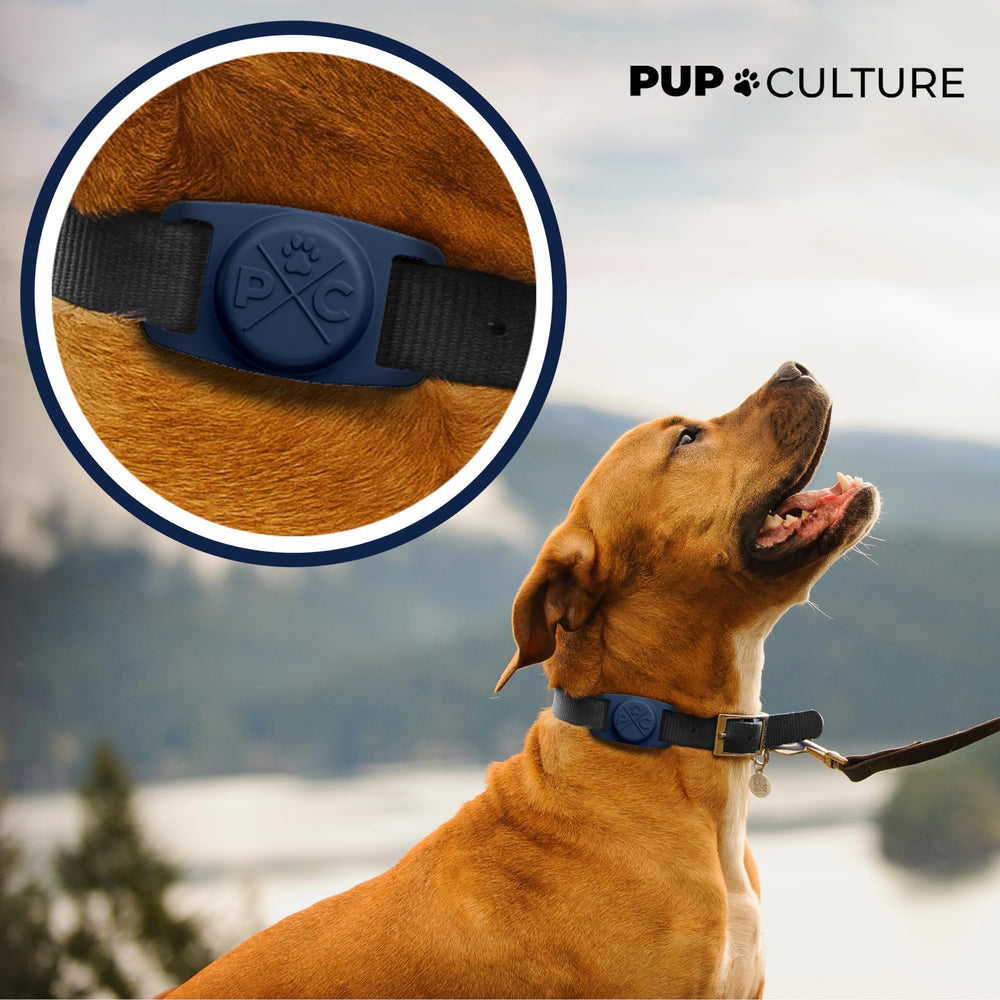 Pup Culture AirTag holder on dog collar demonstrates low-profile fit.
