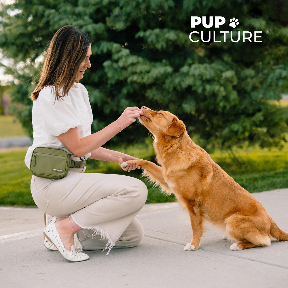 Pup Culture cross-body walking bag for hands-free strolls