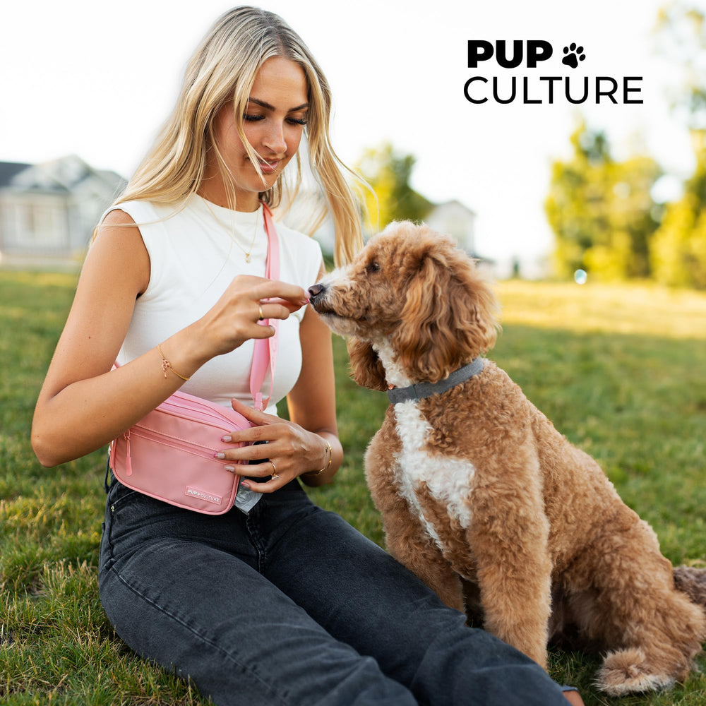 Pup Culture daily walk fashion bag pairs with any leash