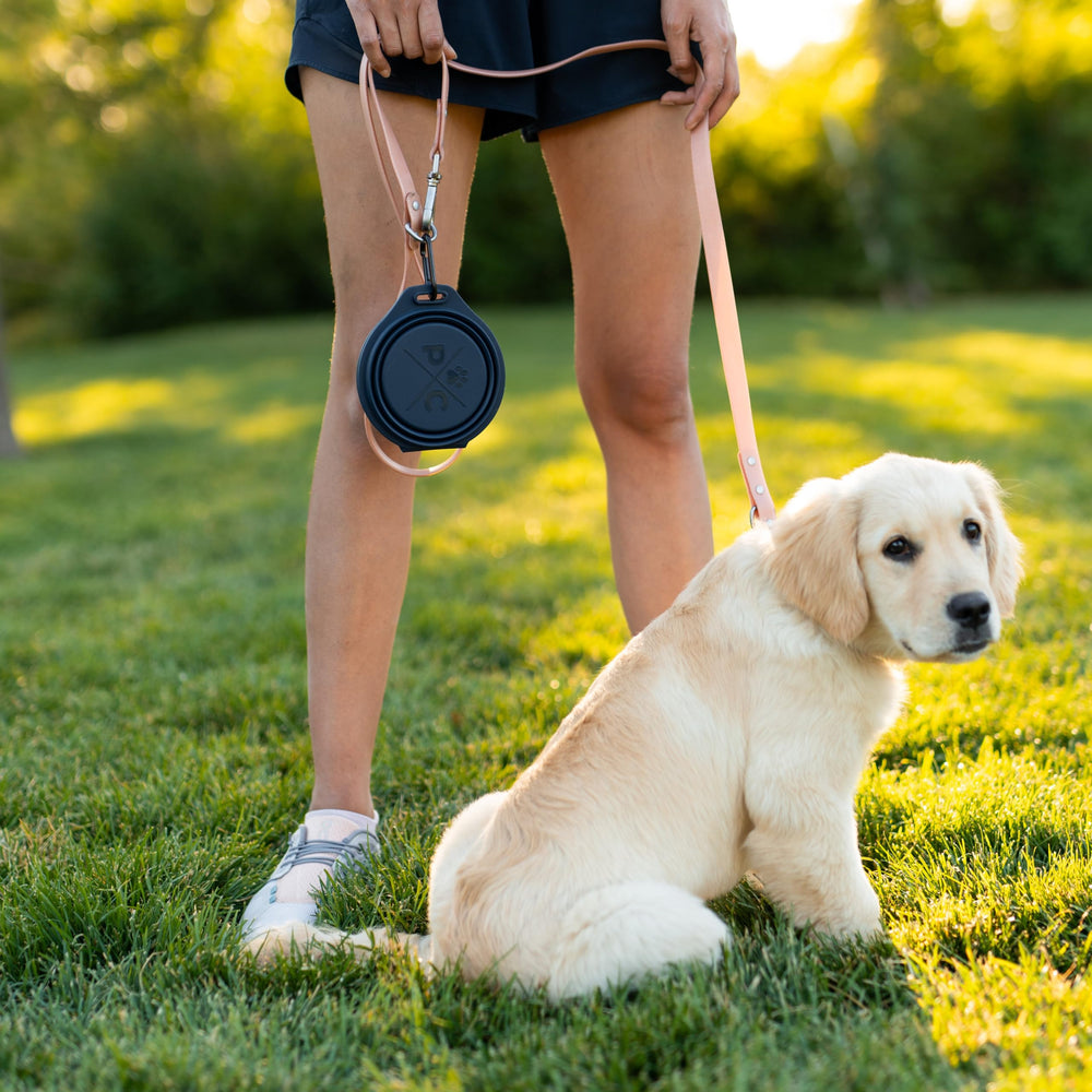 Pup Culture bowls at the dog park supporting convenient feeding and hydration