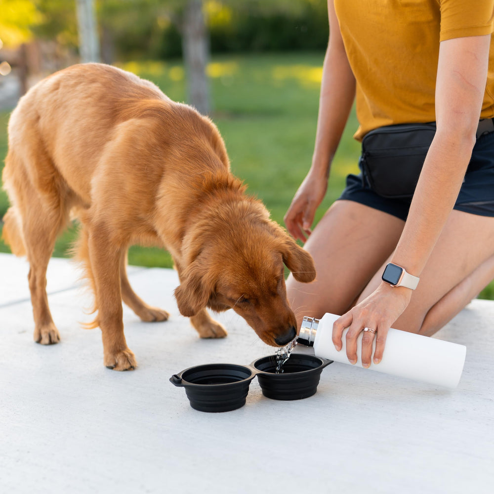 Pup Culture packable travel bowls simplify weekend road trips with pets