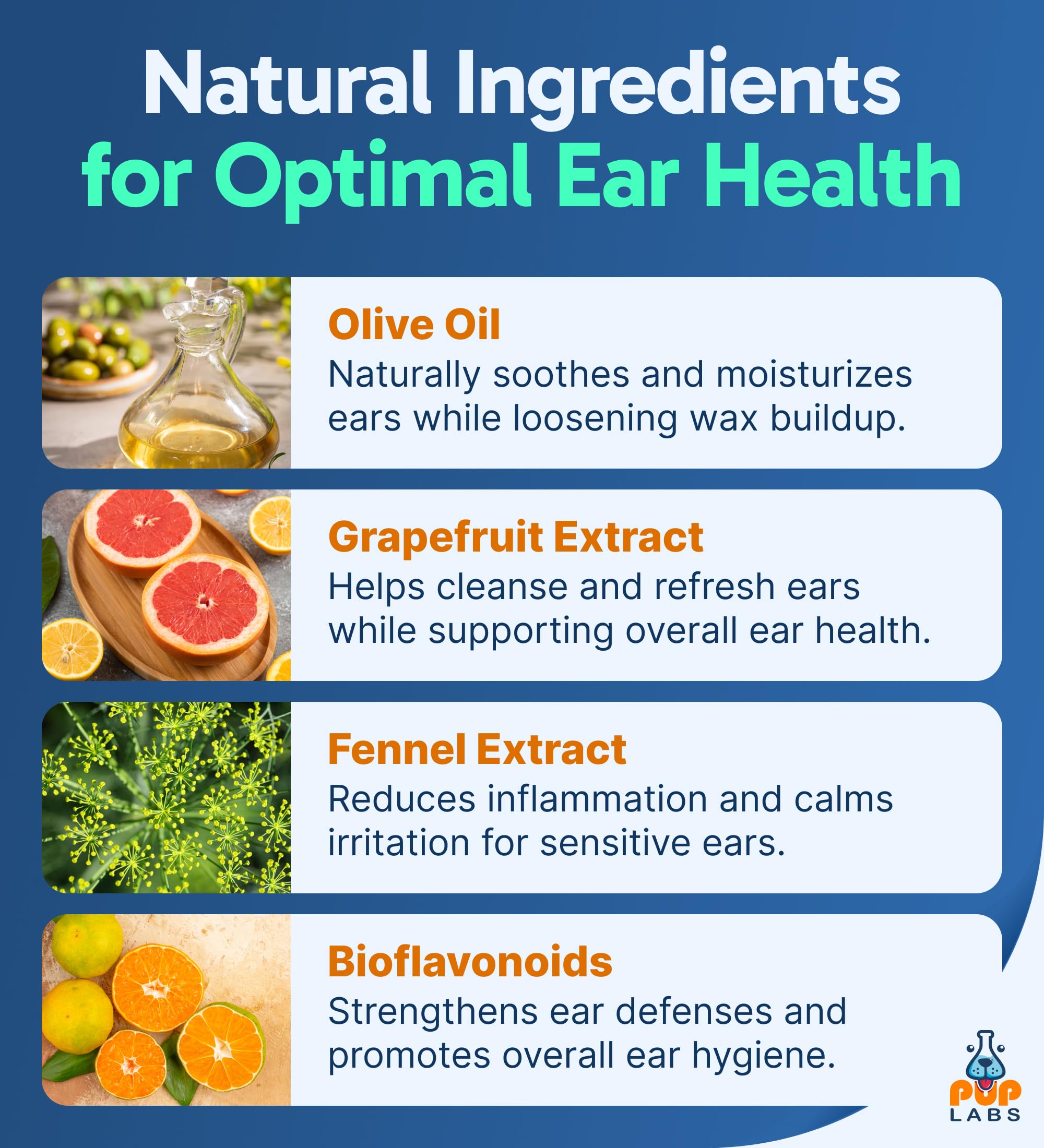 Pup Labs Ear Clear applied to a dog's ears during cleaning for soothing comfort.