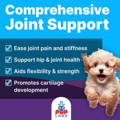 Pup Labs Freedom Joint Drops dog running scene suggests improved mobility